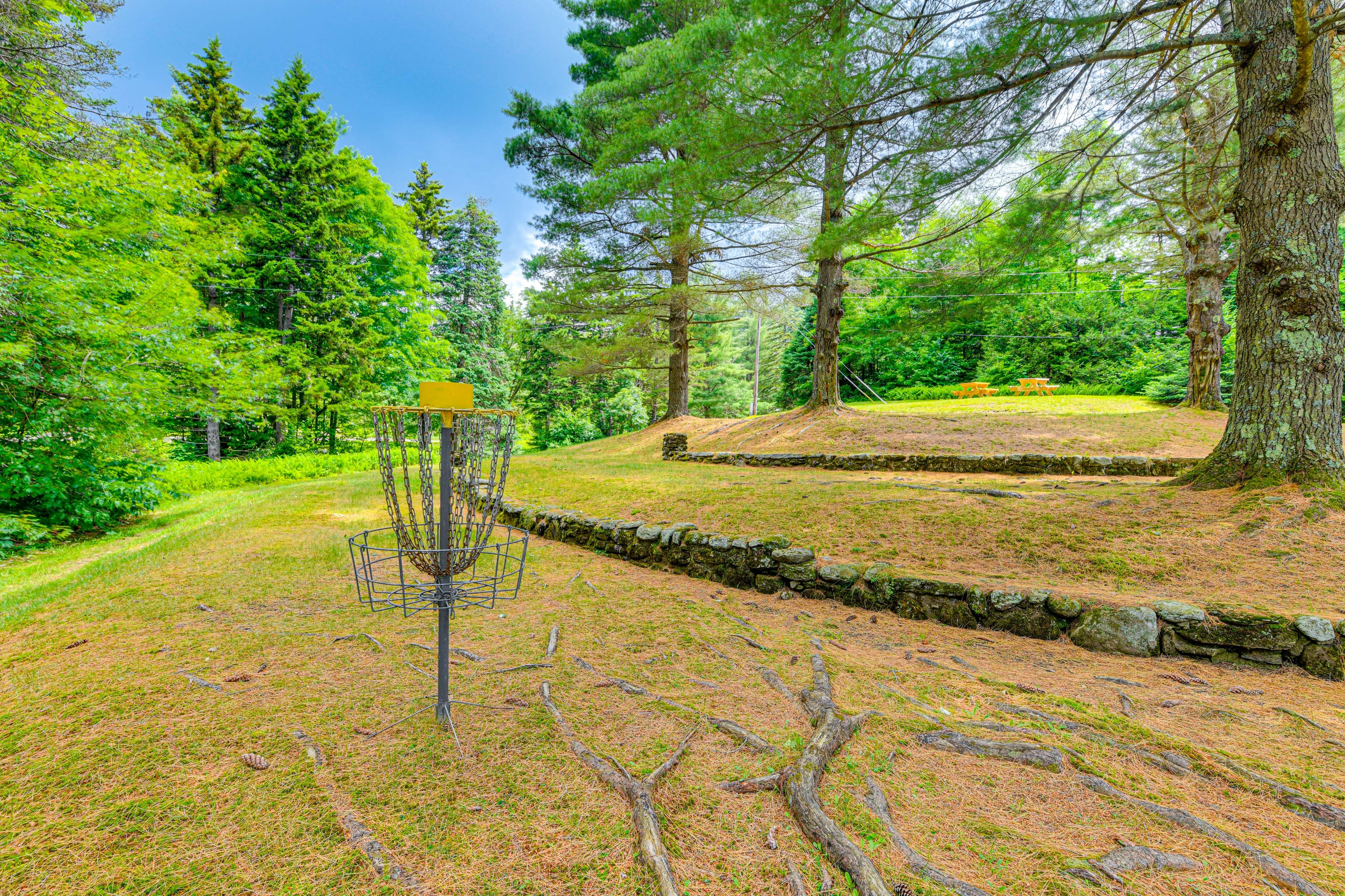 Disc Golf