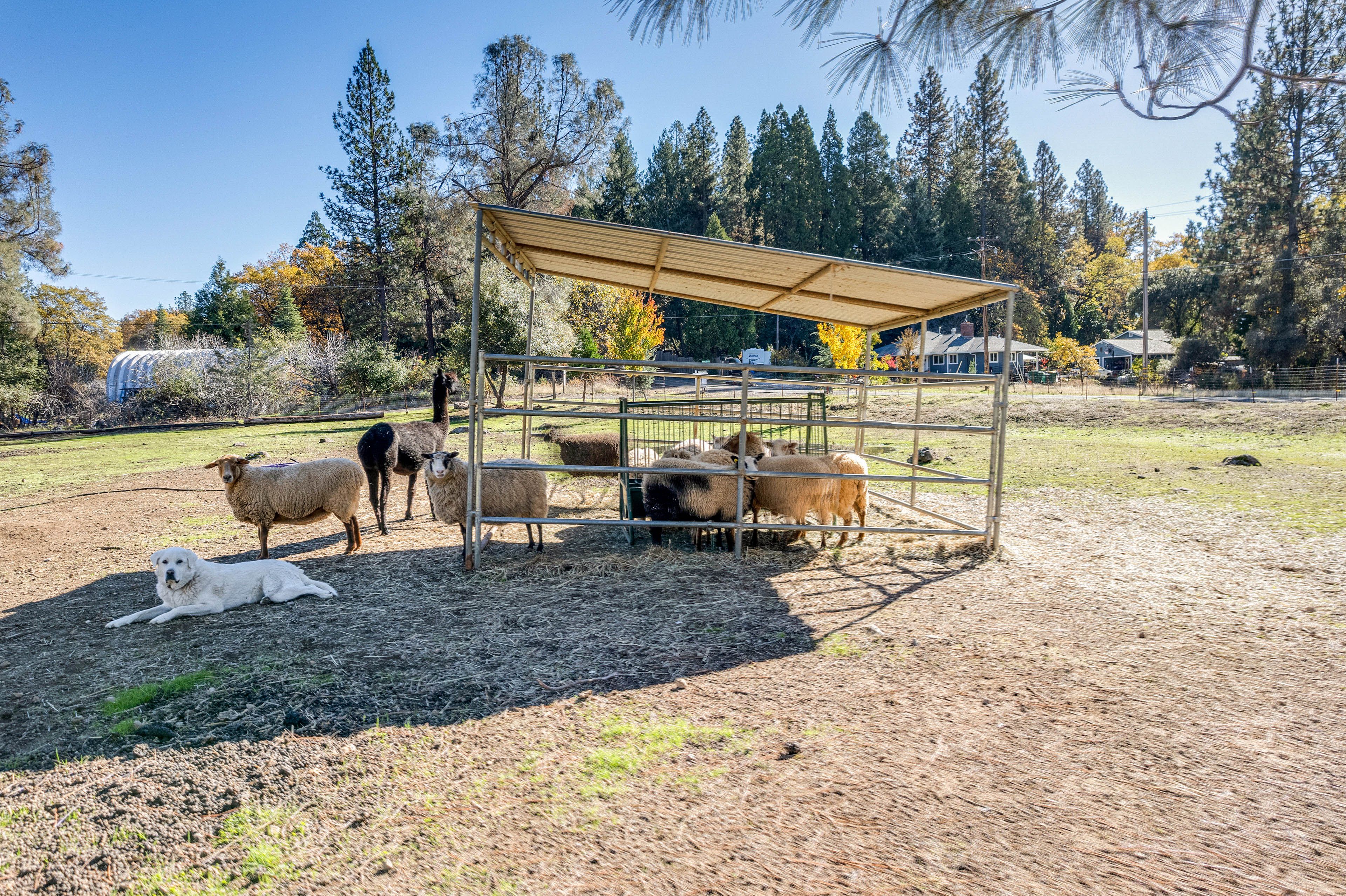 Cottage Exterior | Shared Yard | Livestock Farm On-Site