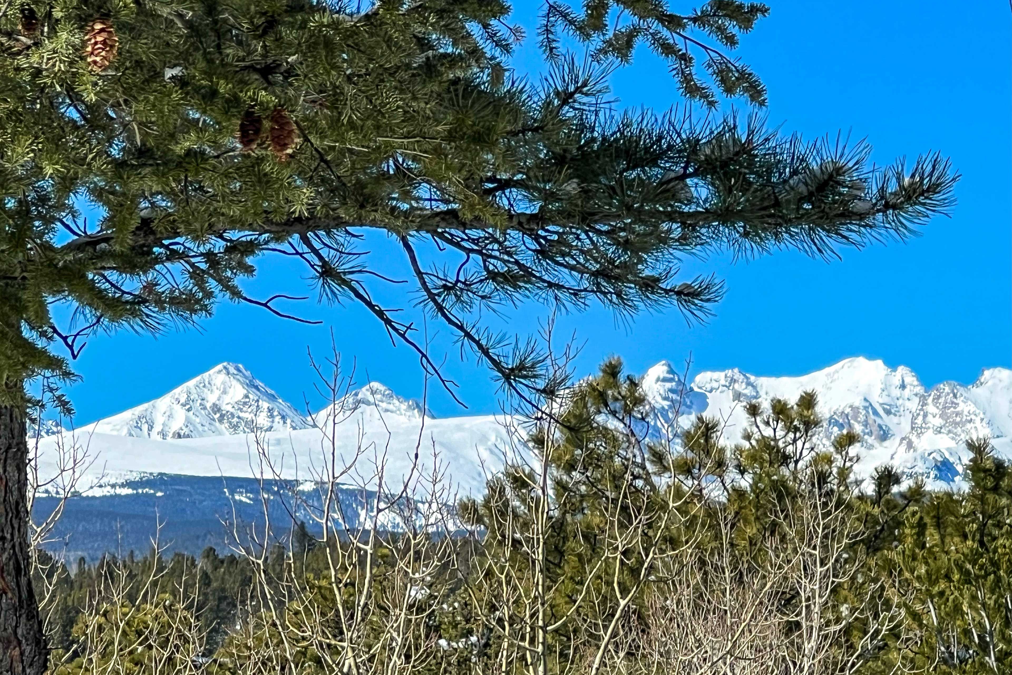 Mountain Views