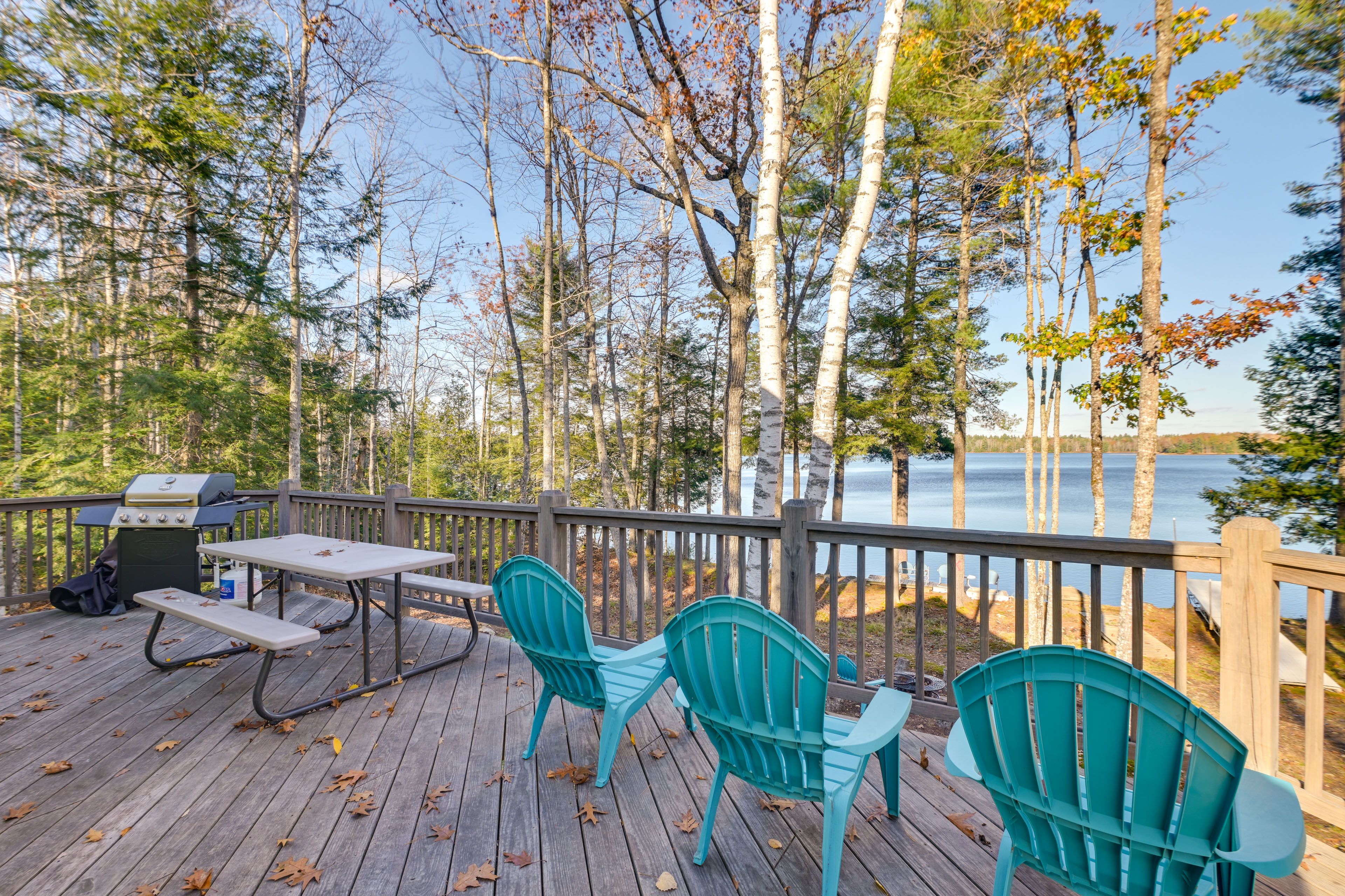 Deck | Gas Grill