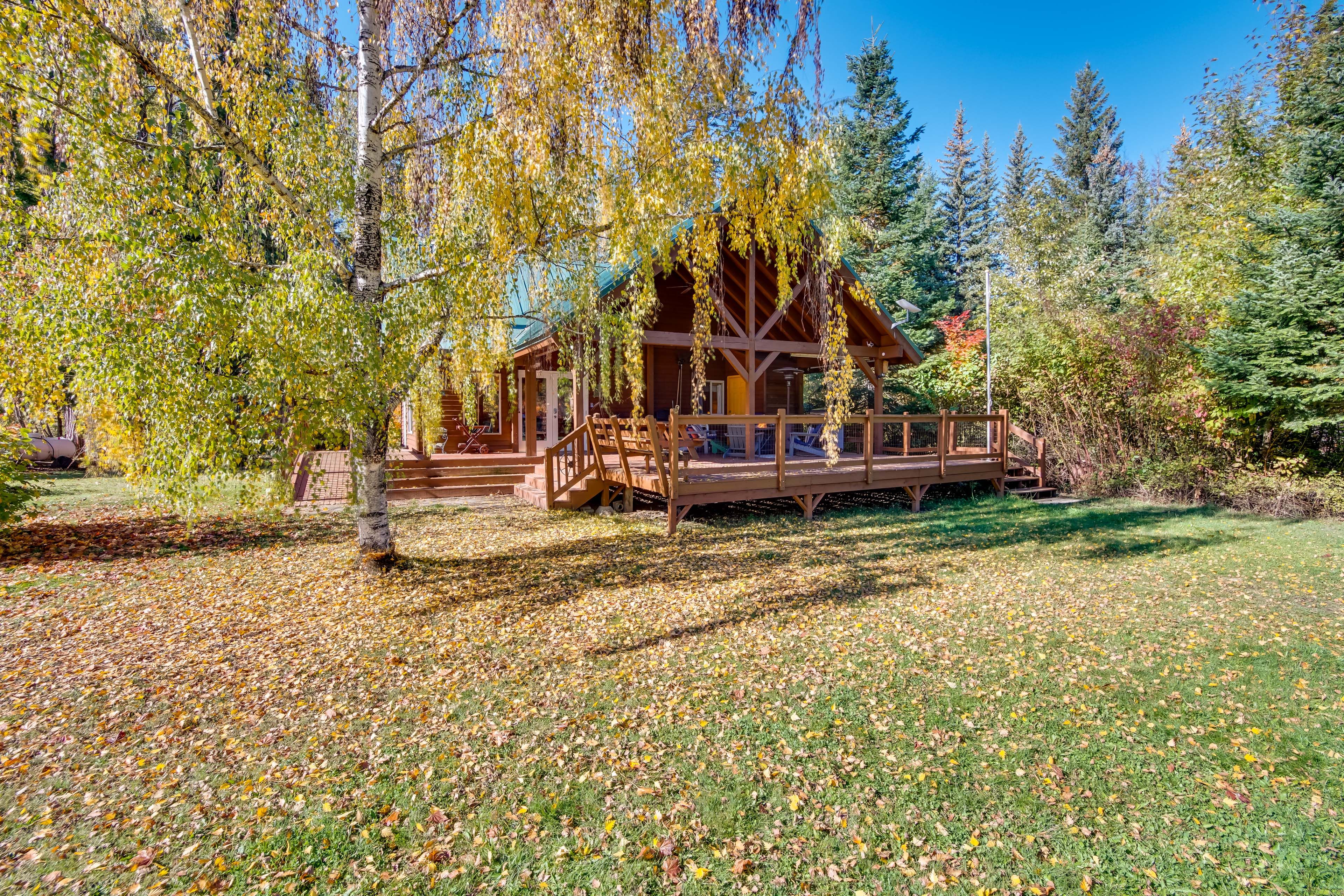 Yard Area