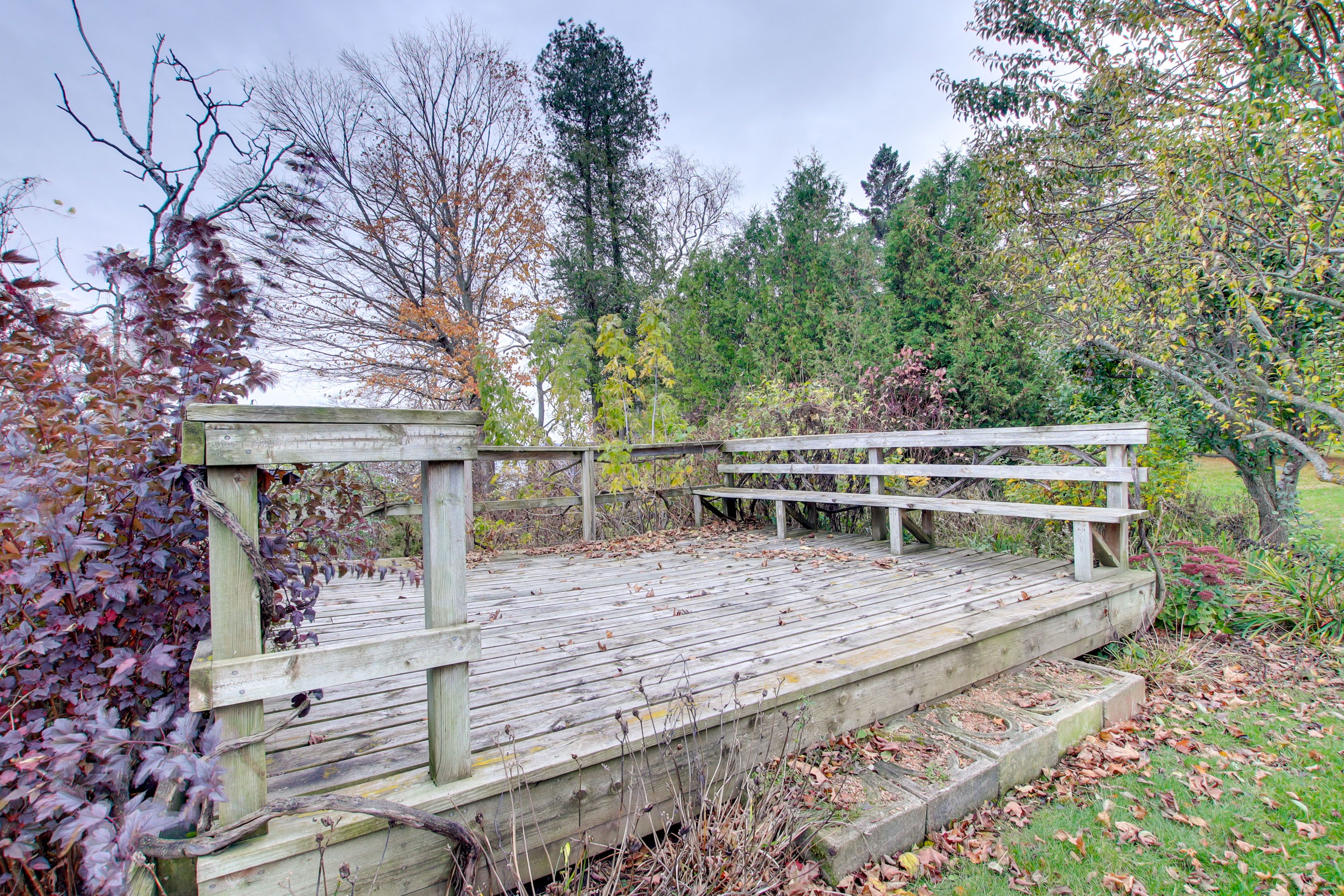 Waterfront Deck