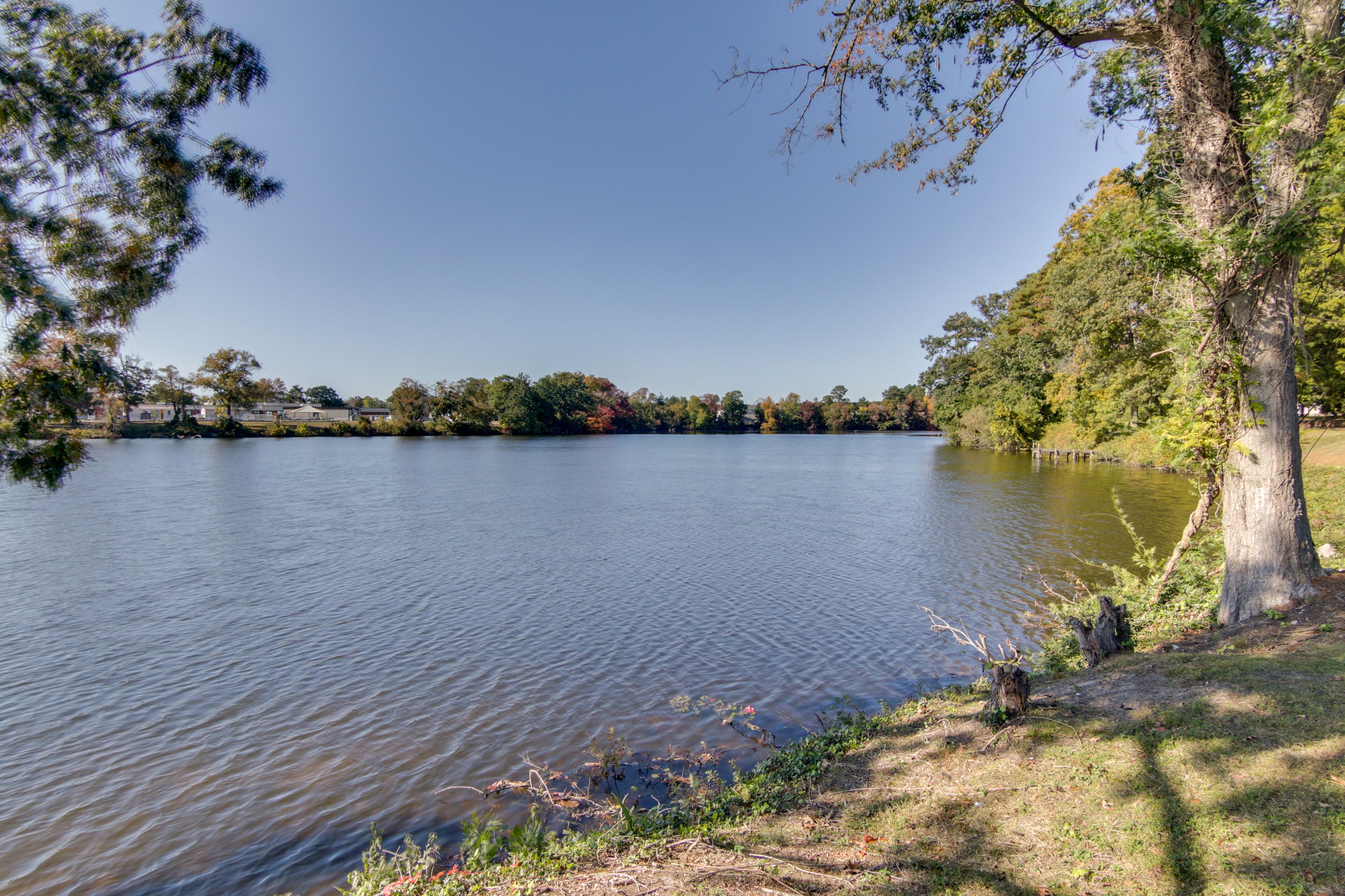 Walking Distance to Johnson Pond