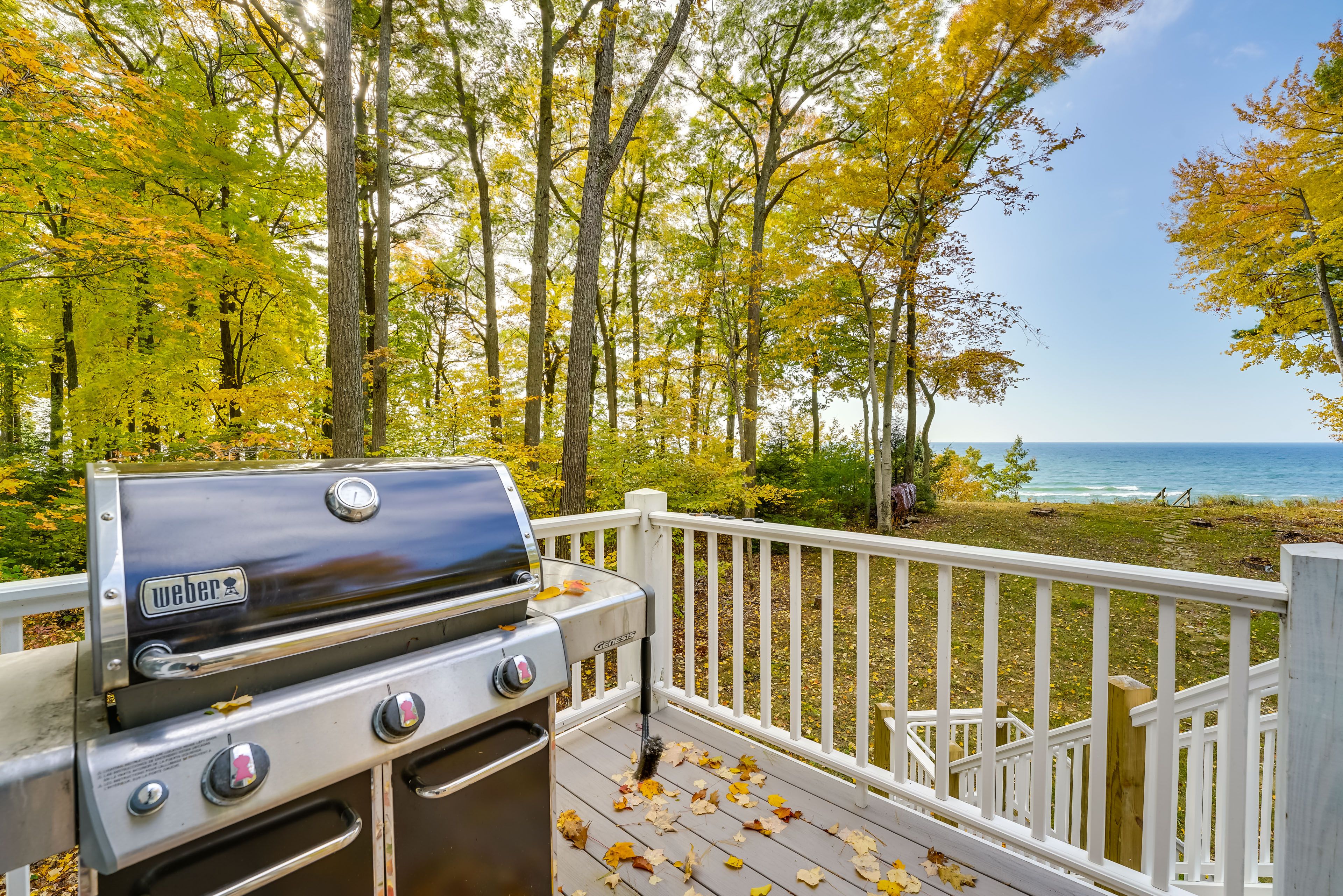 Gas Grill