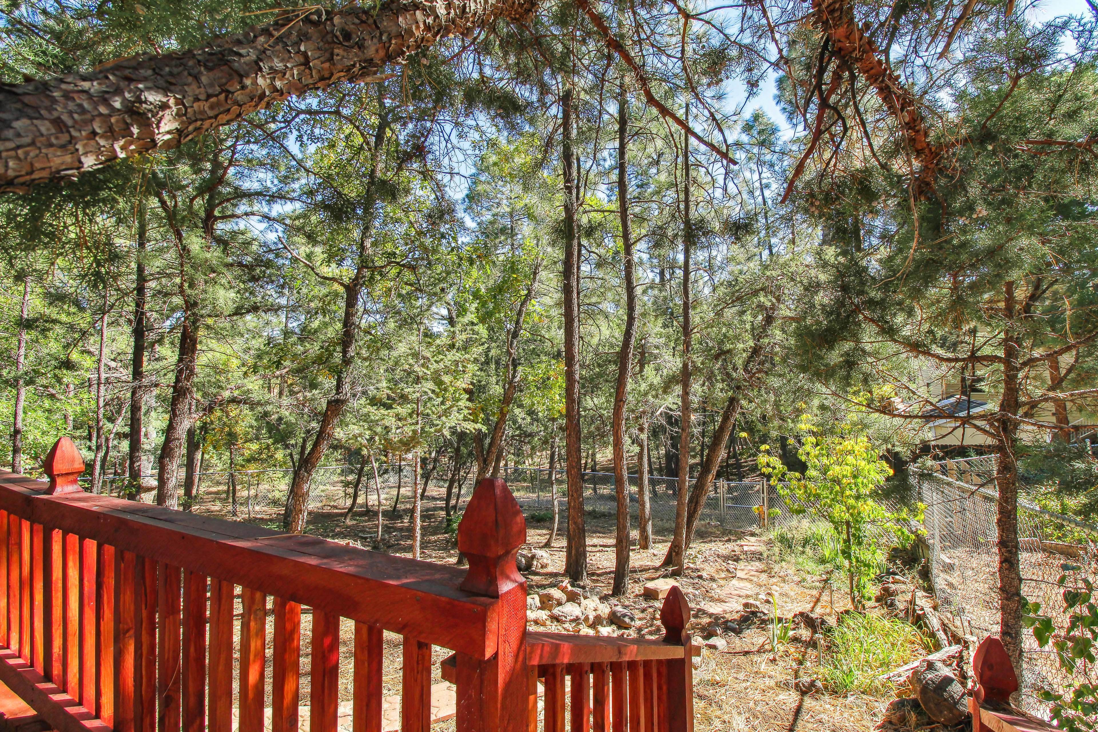 Fenced Yard