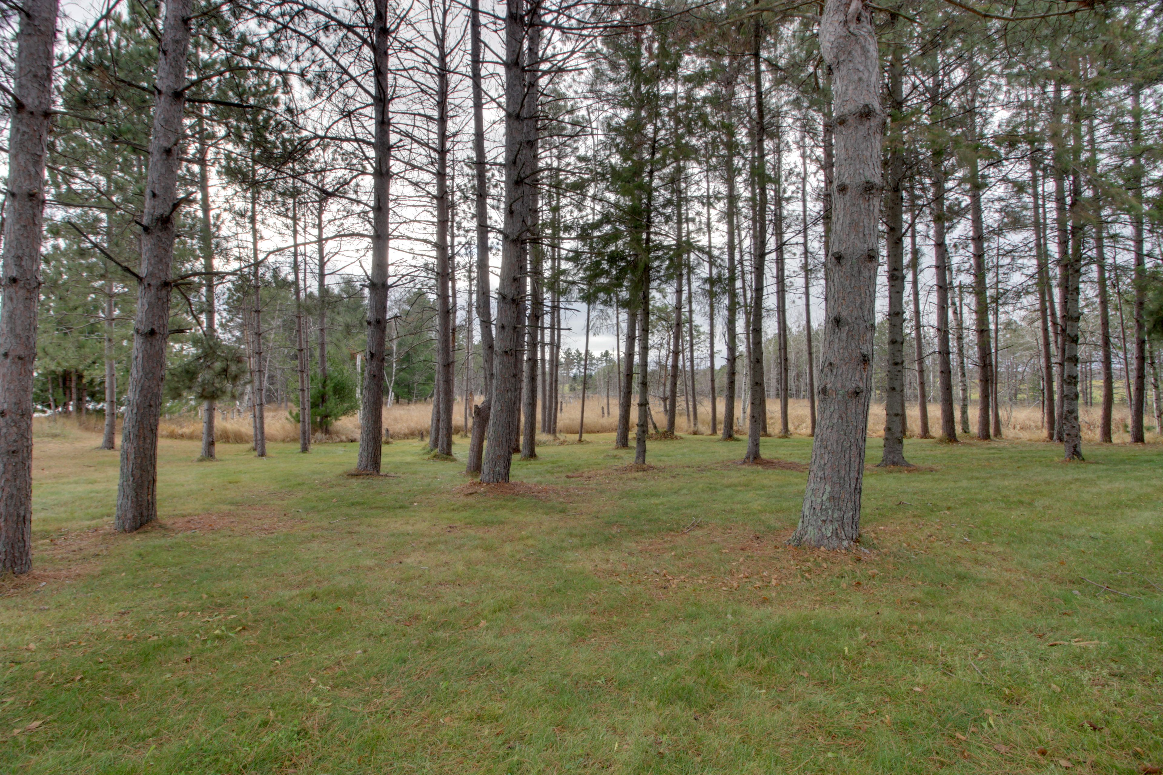 Yard Area