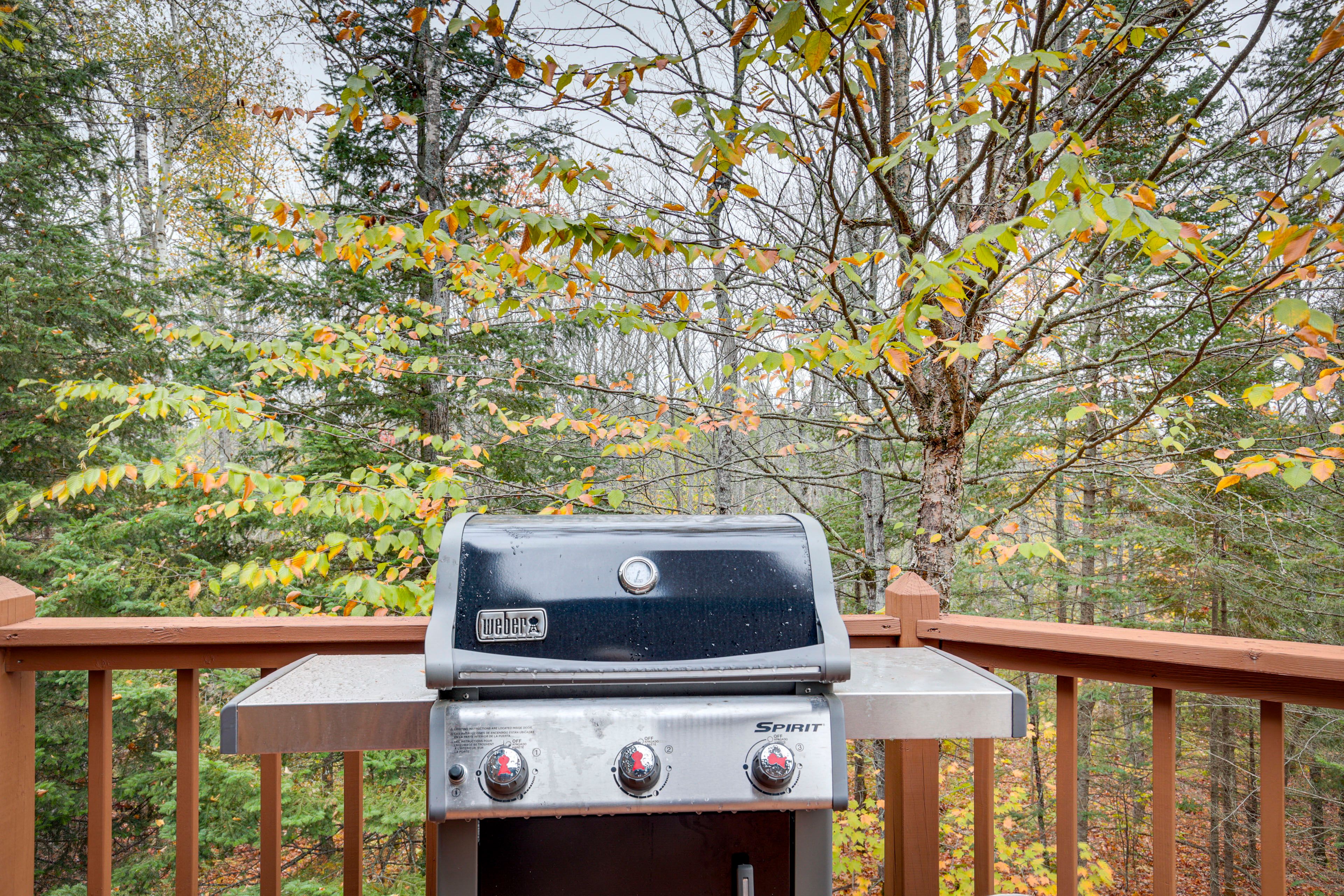 Gas Grill