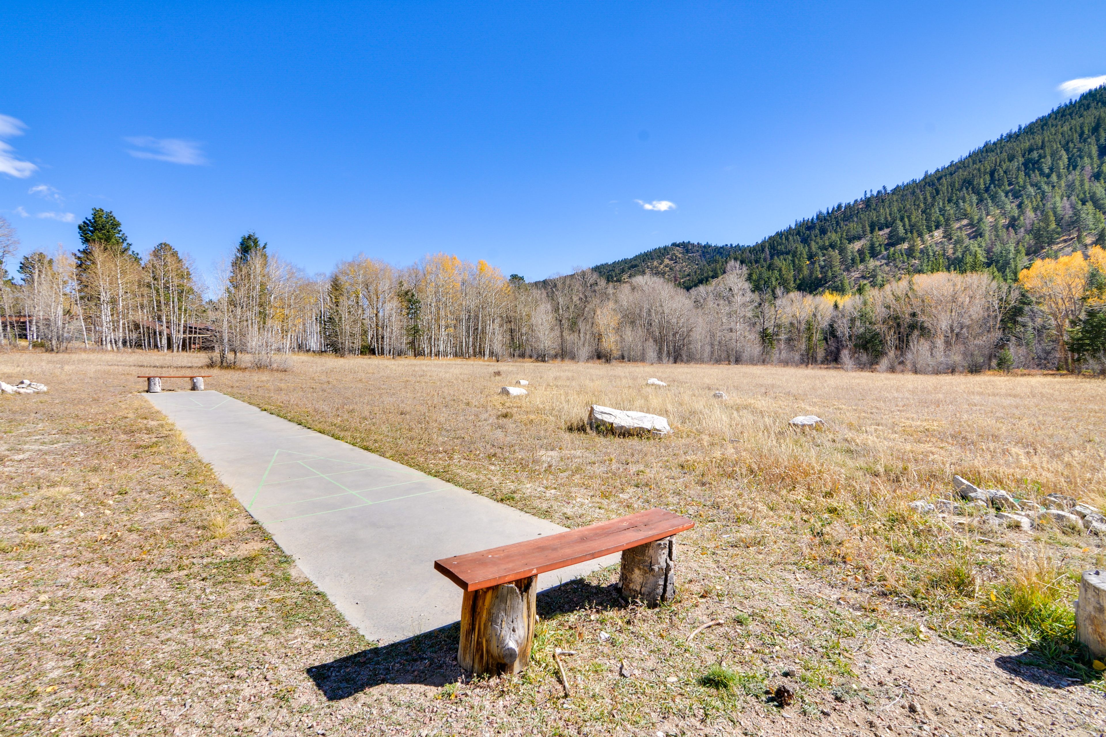 Shuffleboard & Horseshoes