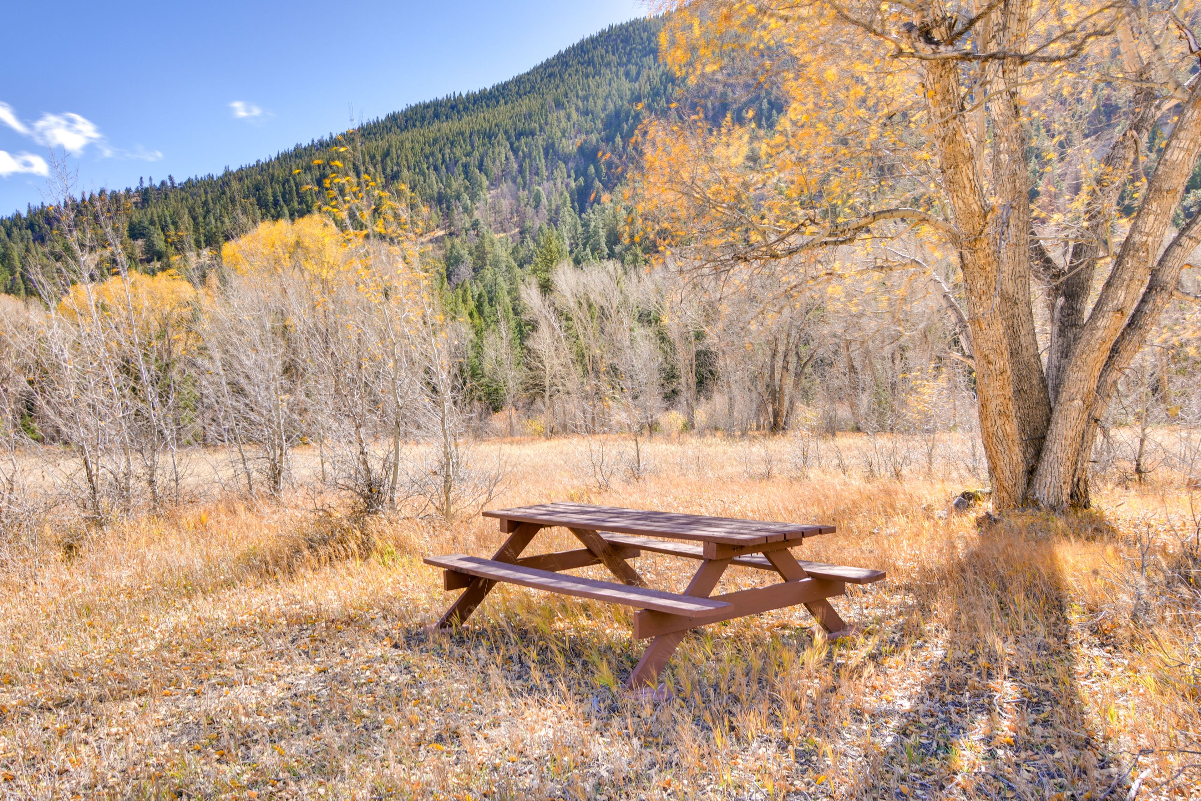 Picnic Area | Mountain Views