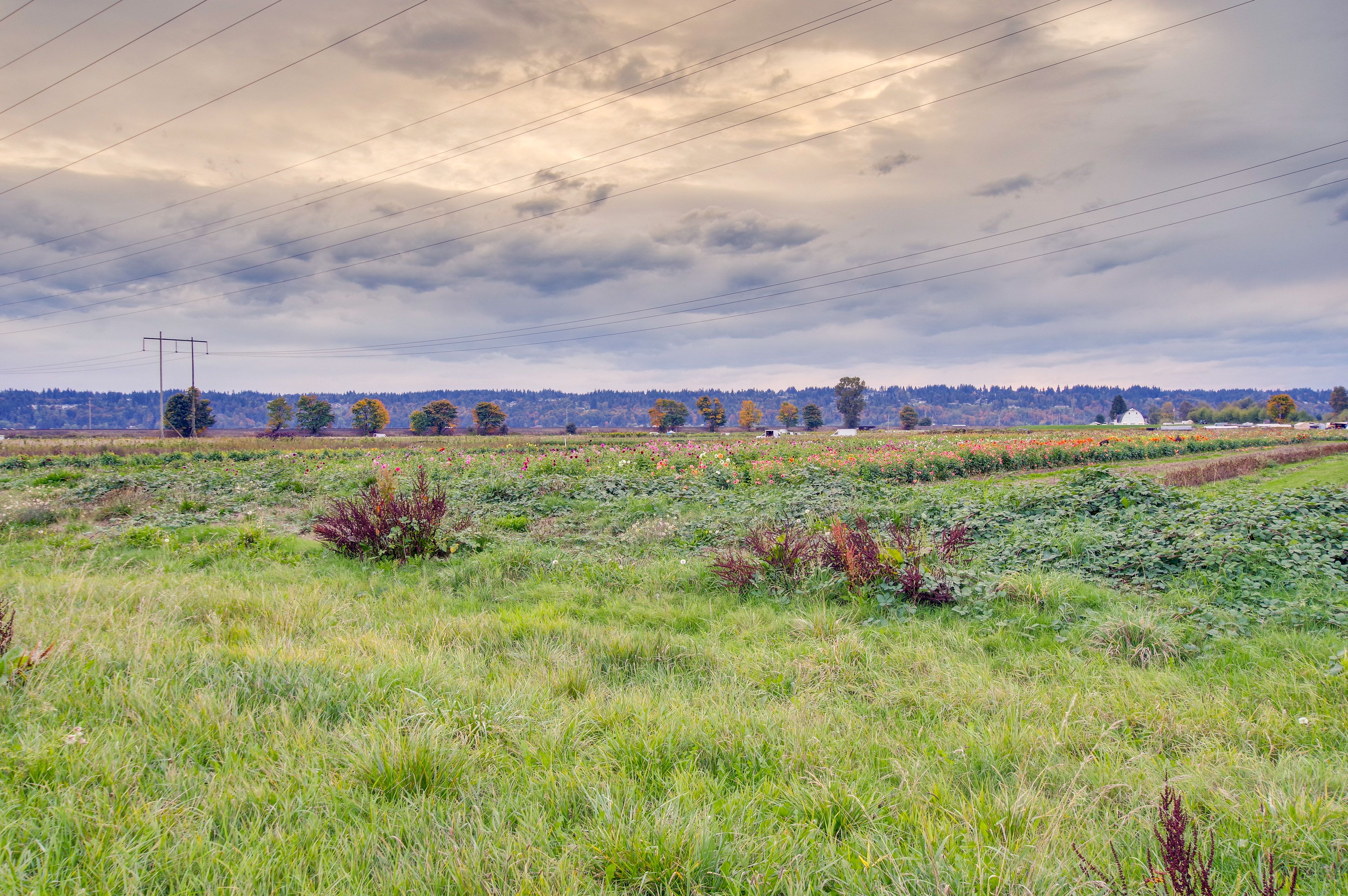 Surrounding Scenery