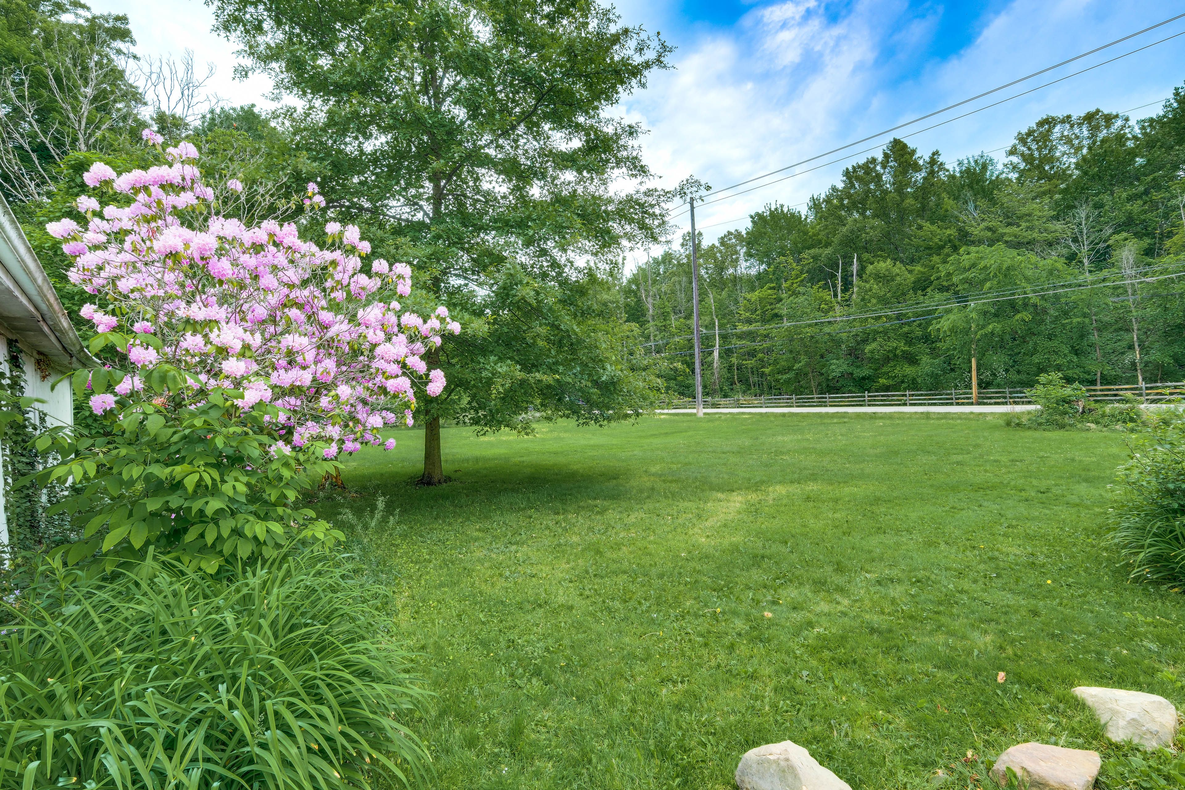 Private Yard