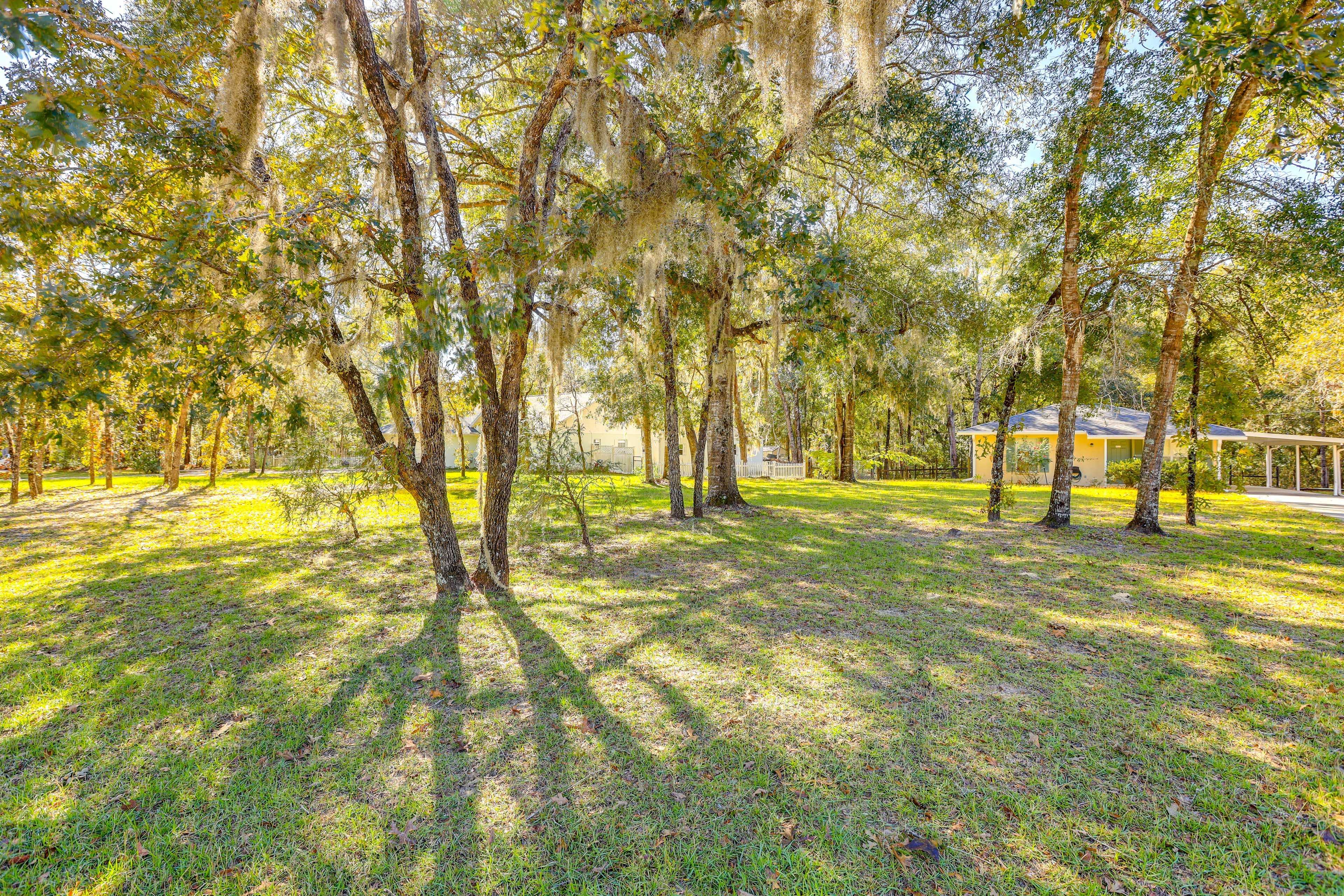 Front Yard