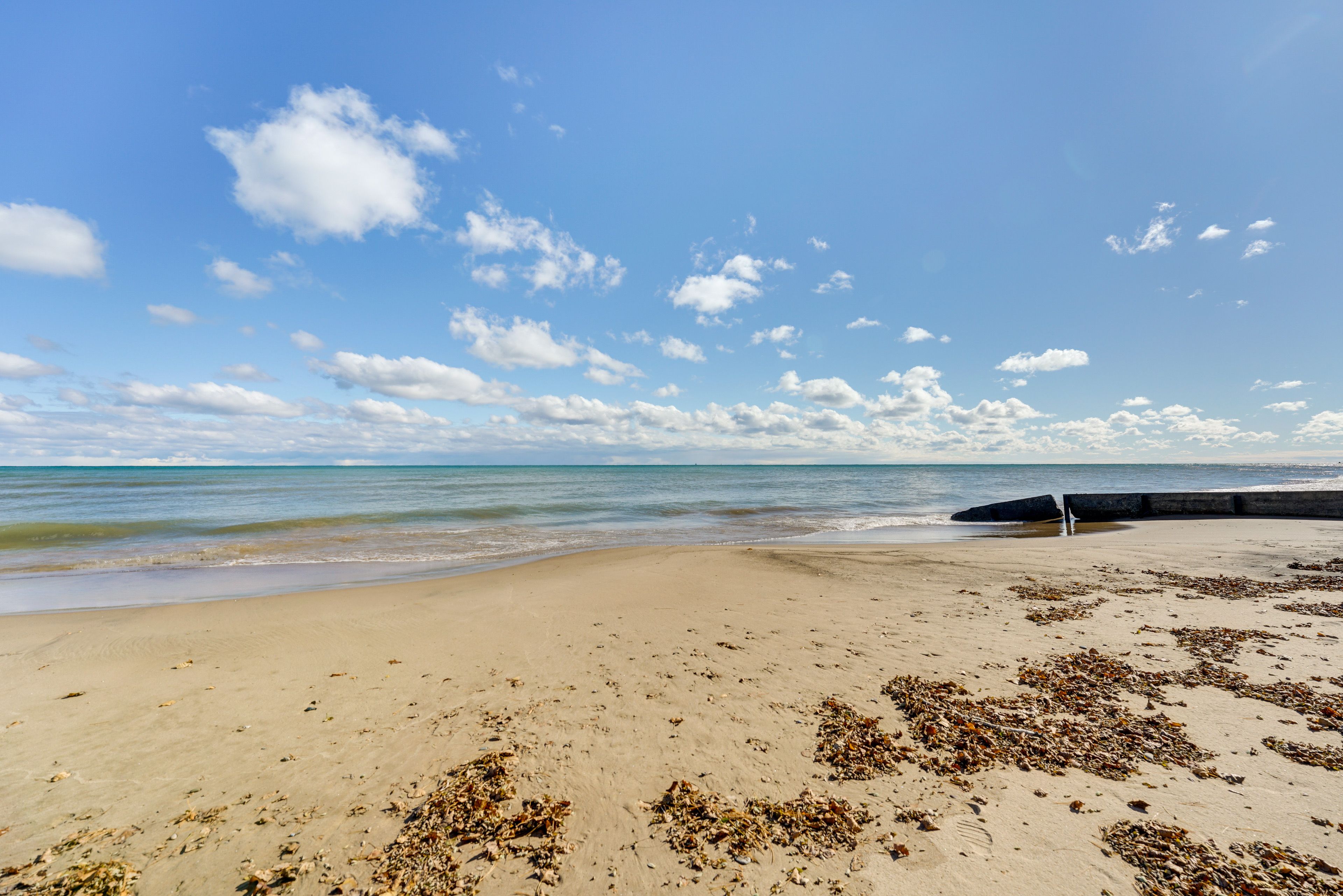 Image 31