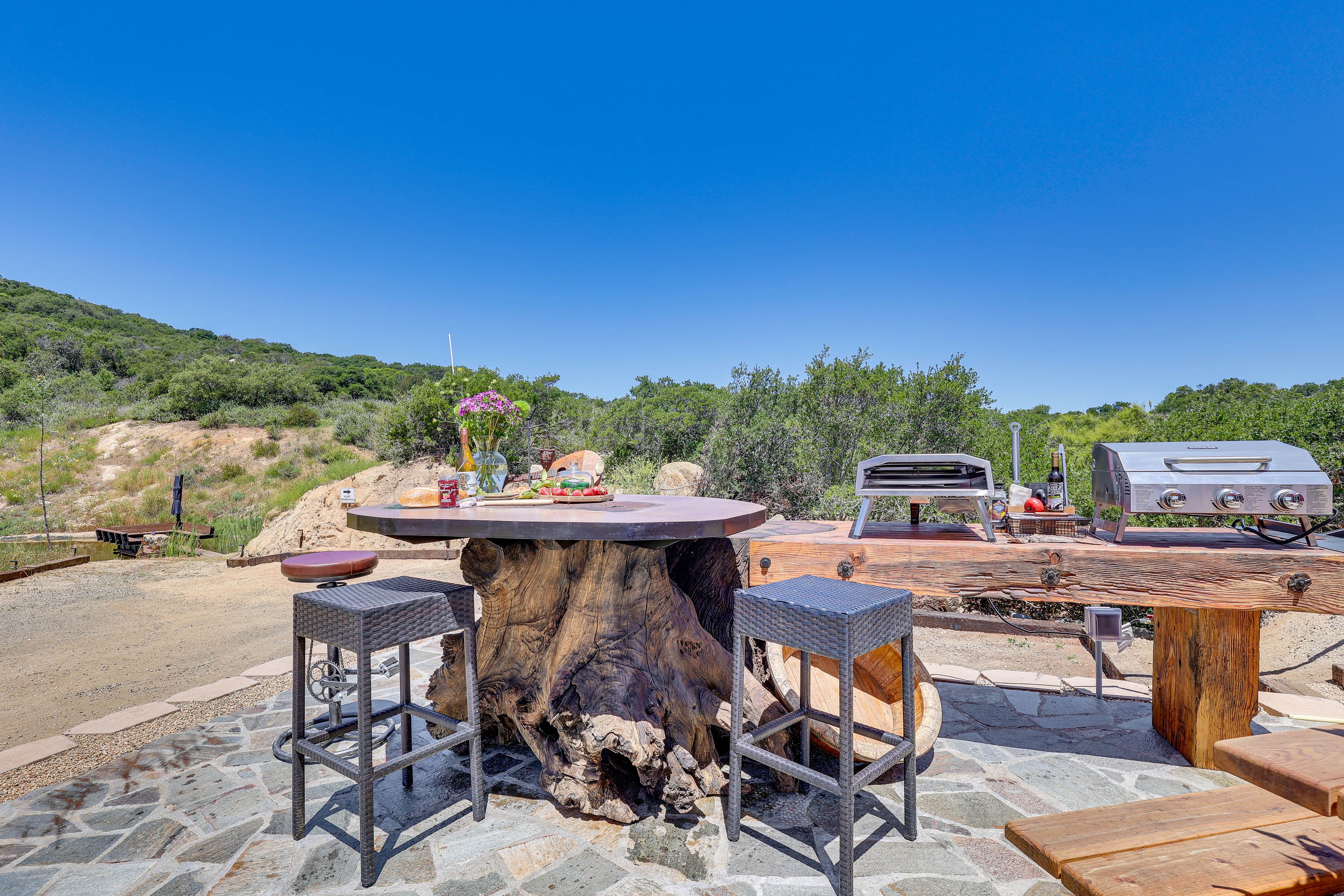 Back Patio | Propane Fire Pit w/ Seating | Picnic Table