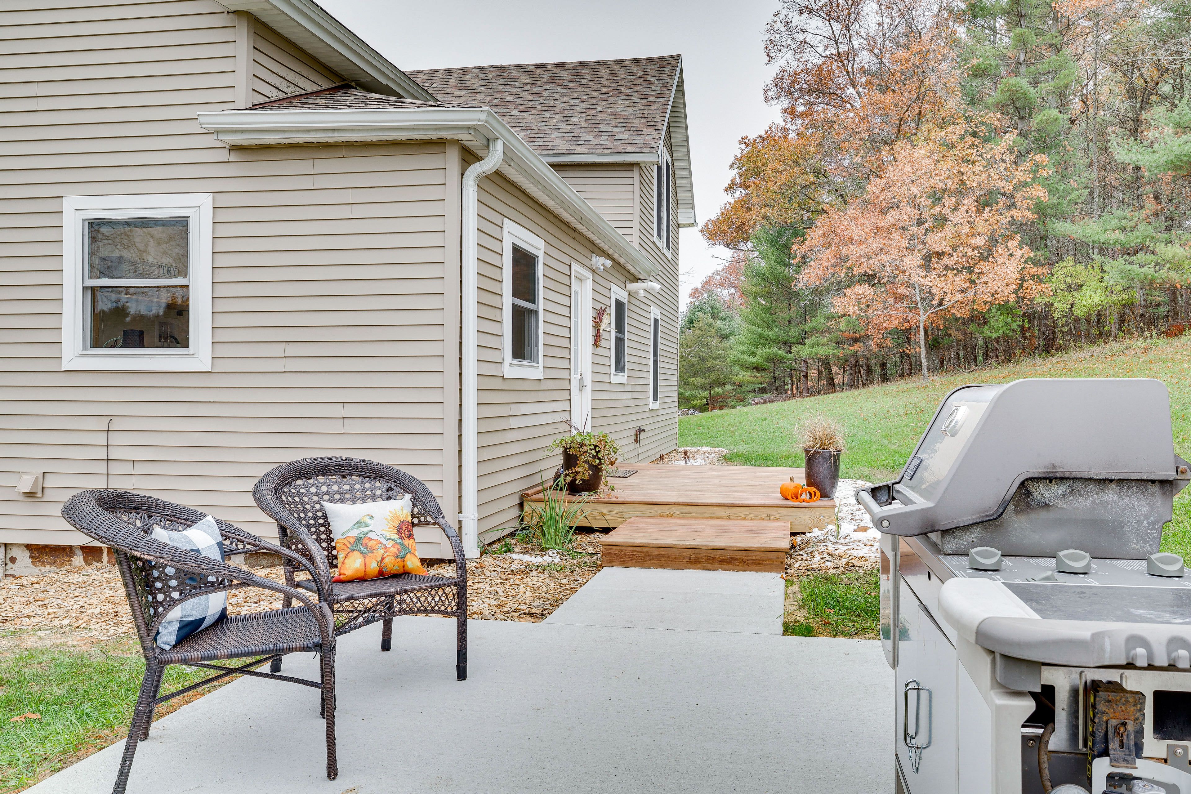 Patio | Gas Grill