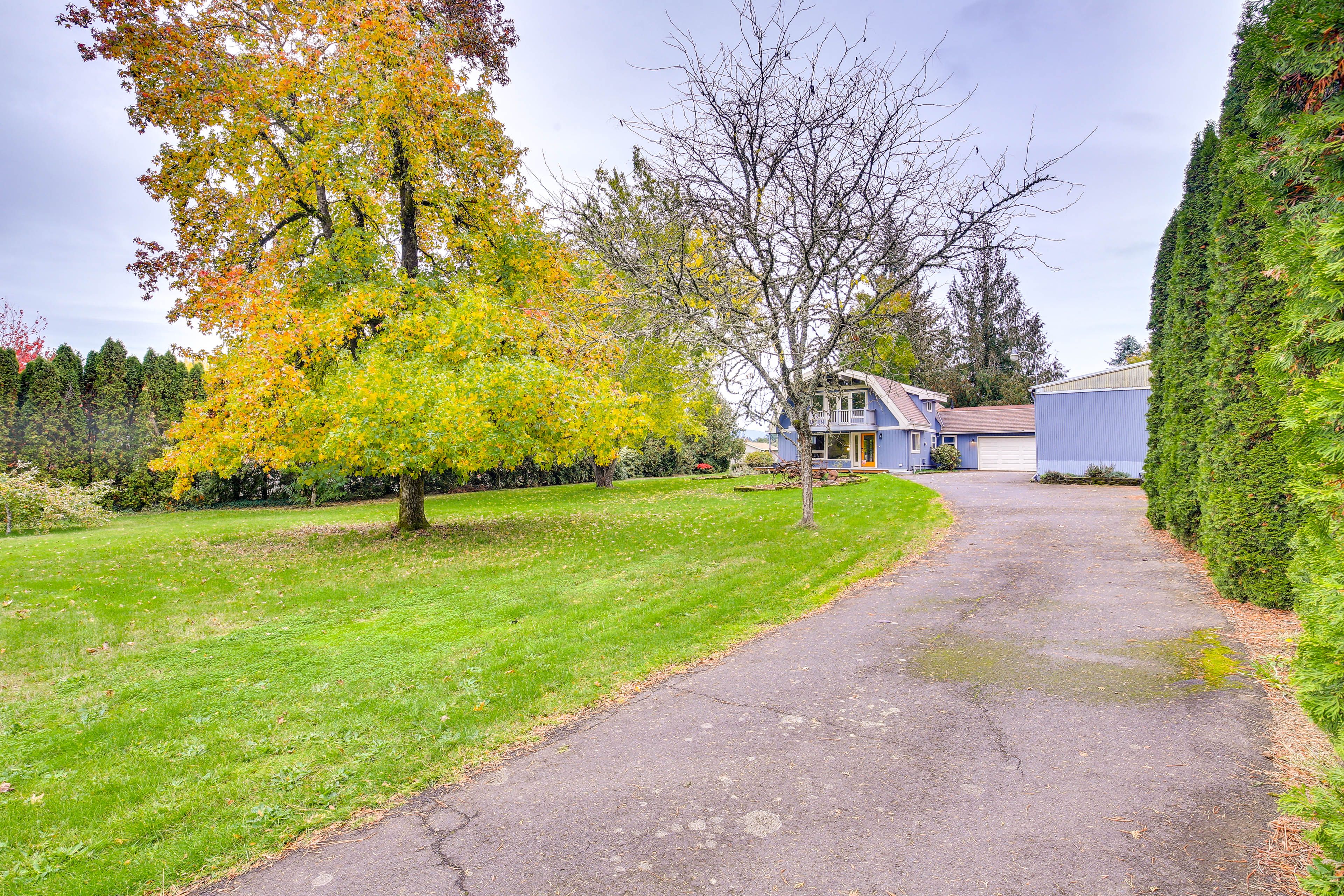 Driveway