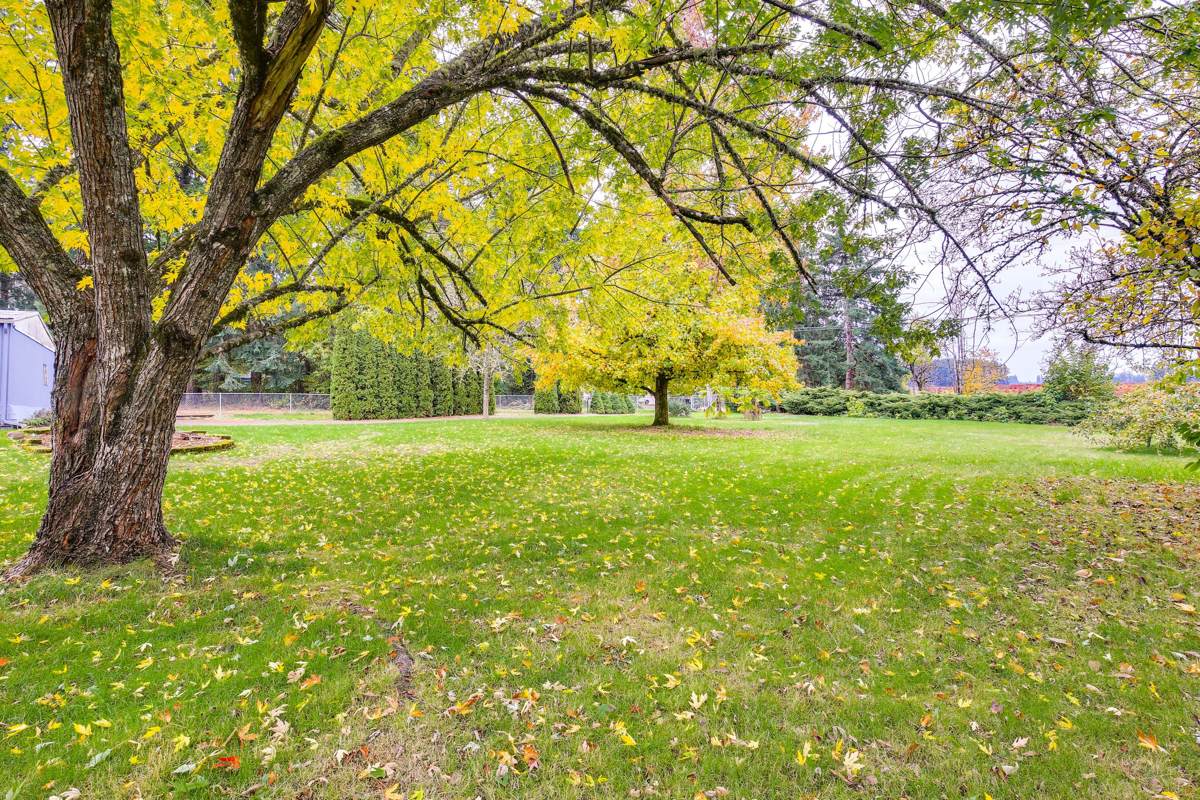 Private Yard