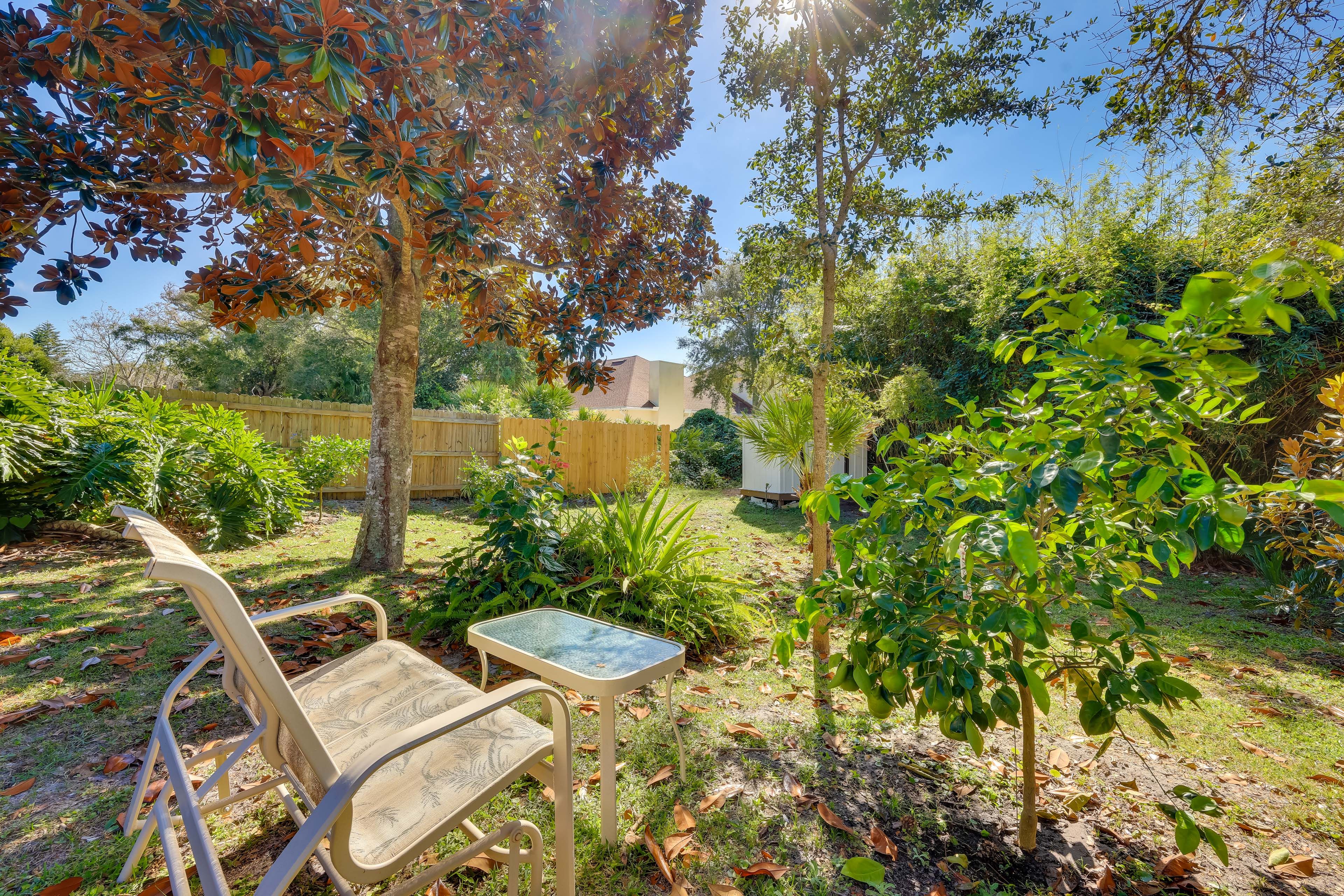 Private Yard | 'Secret Garden' Area | Tropical Flowers & Fruit Trees