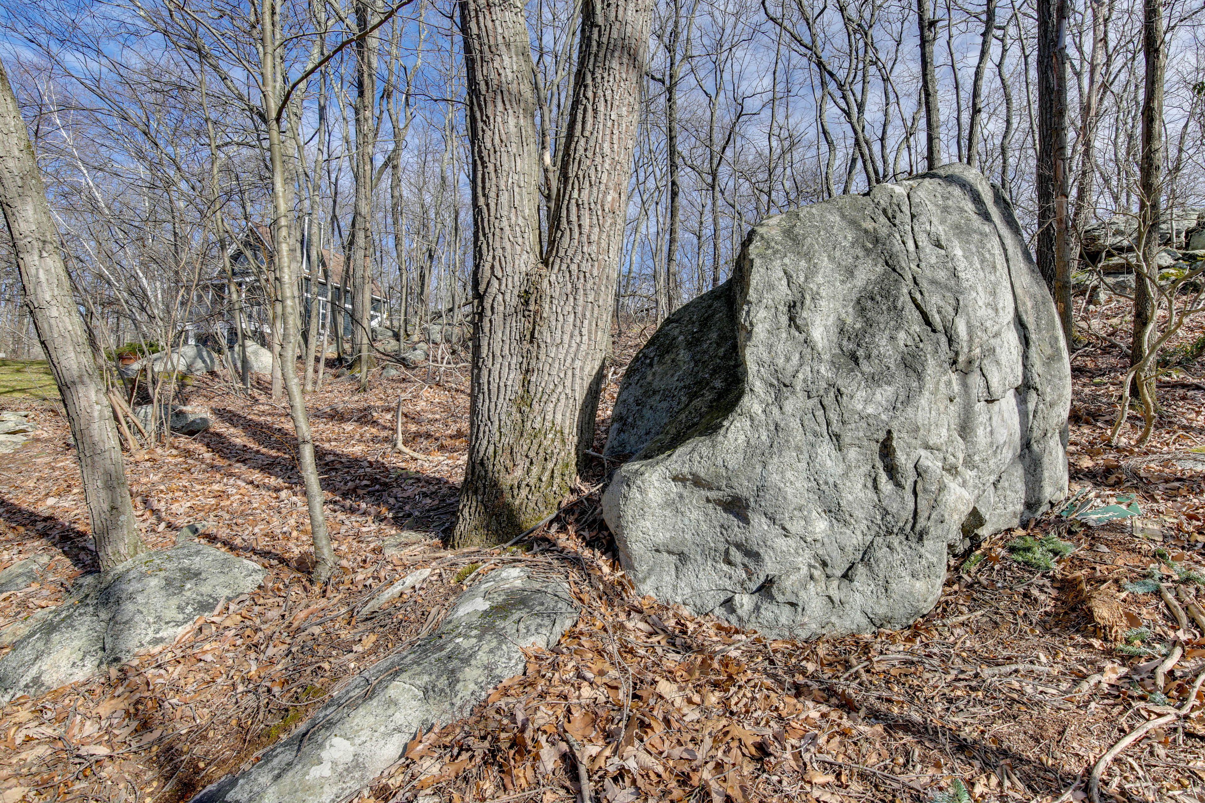 Image 27
