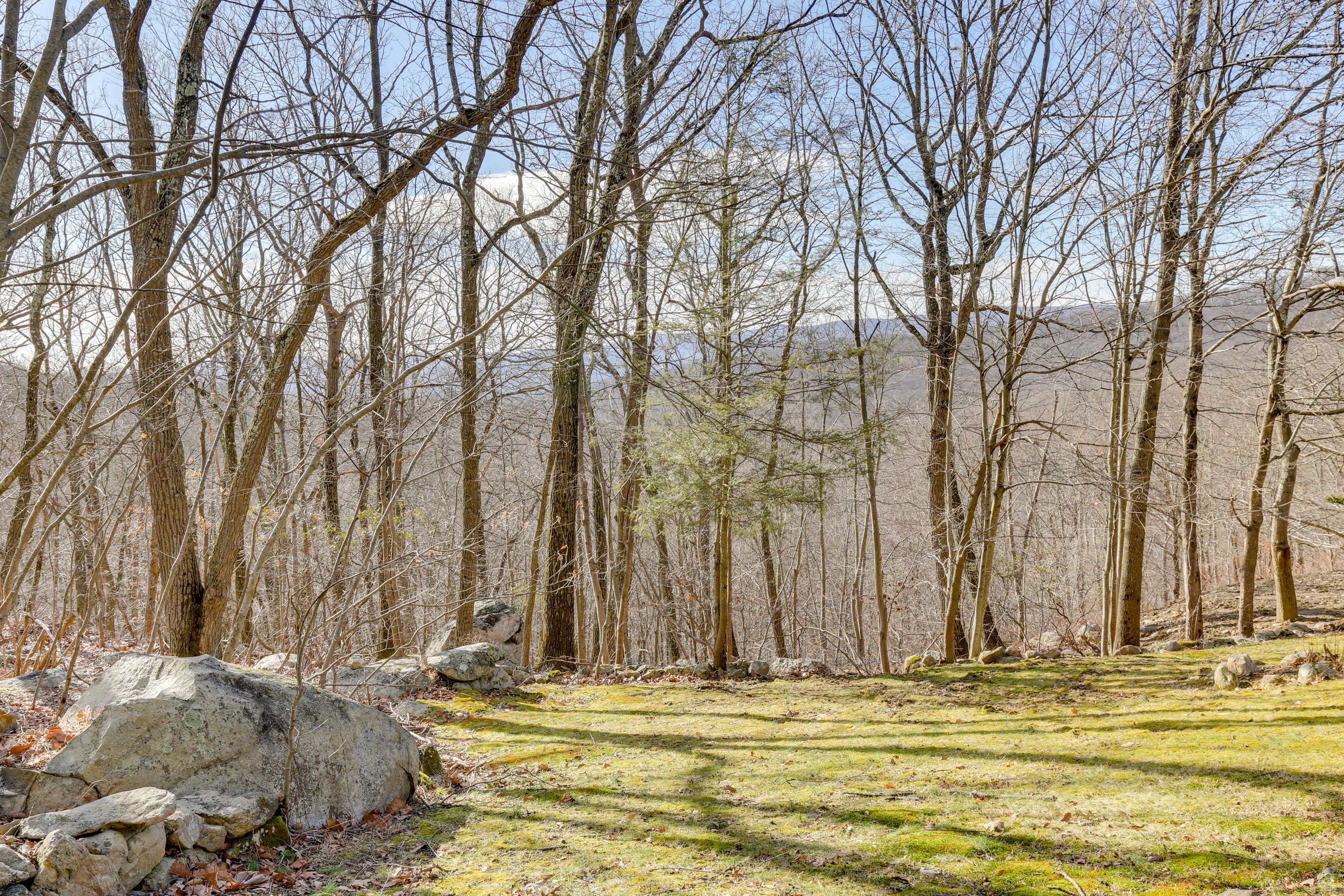 Wooded Yard | On-Site Hiking Trails