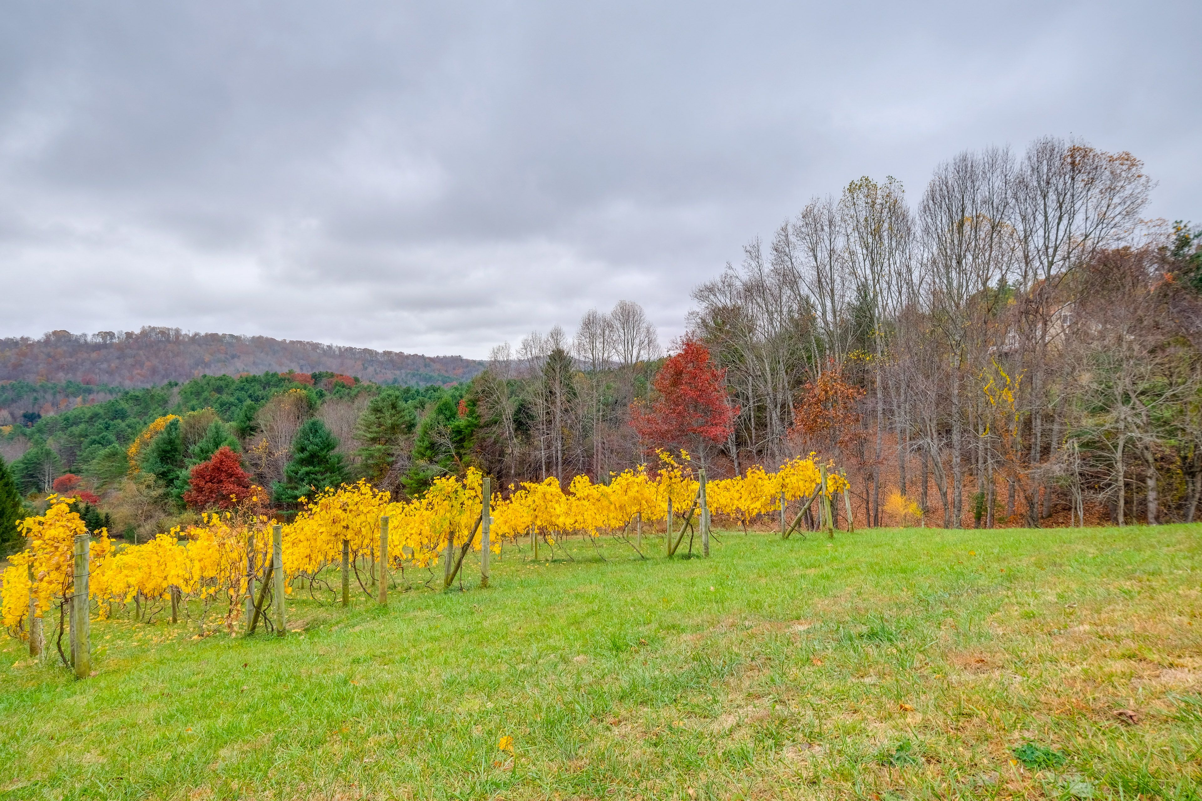 Shared Outdoor Amenities | Walking Paths