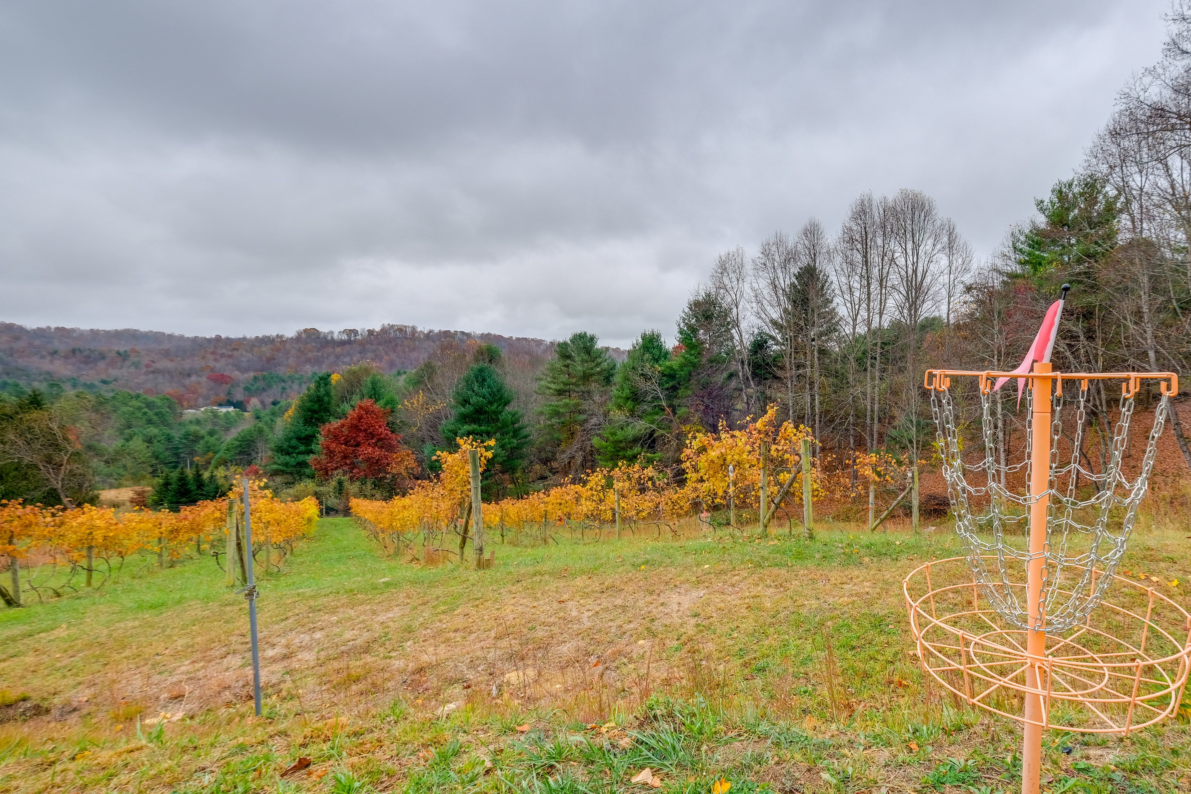 Disc Golf Course