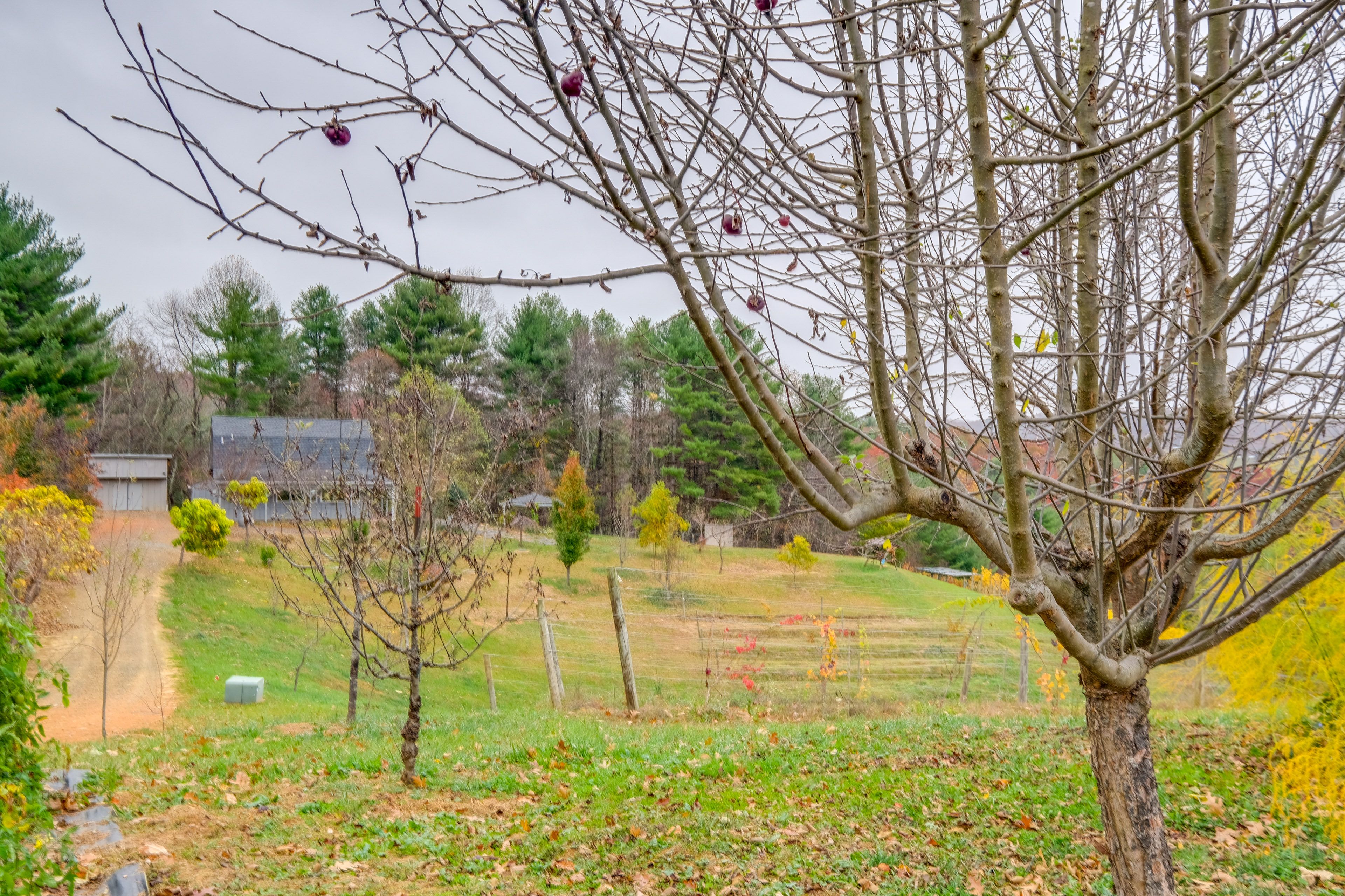 Commercial Vineyard On-Site