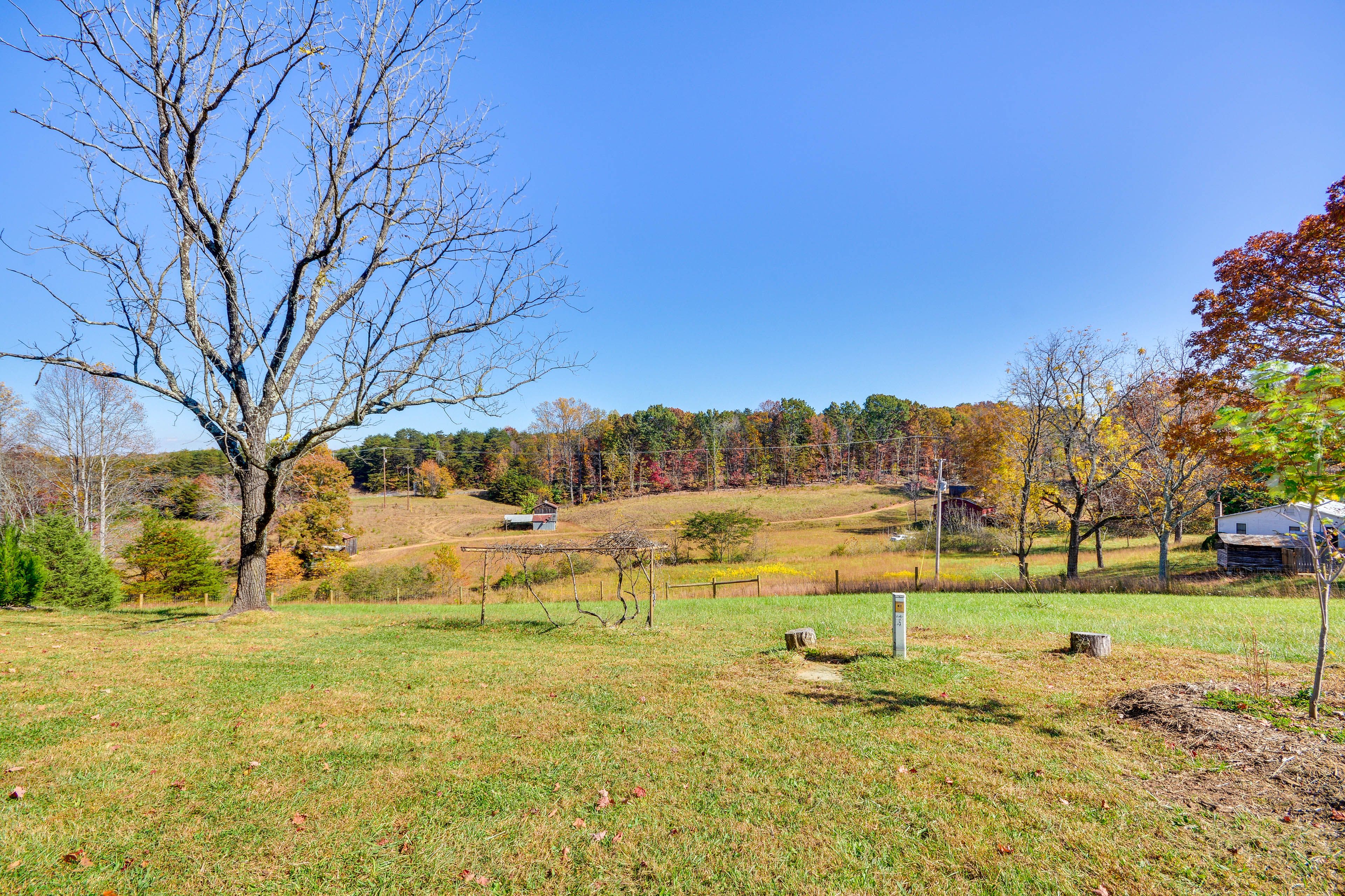 Wooded Yard
