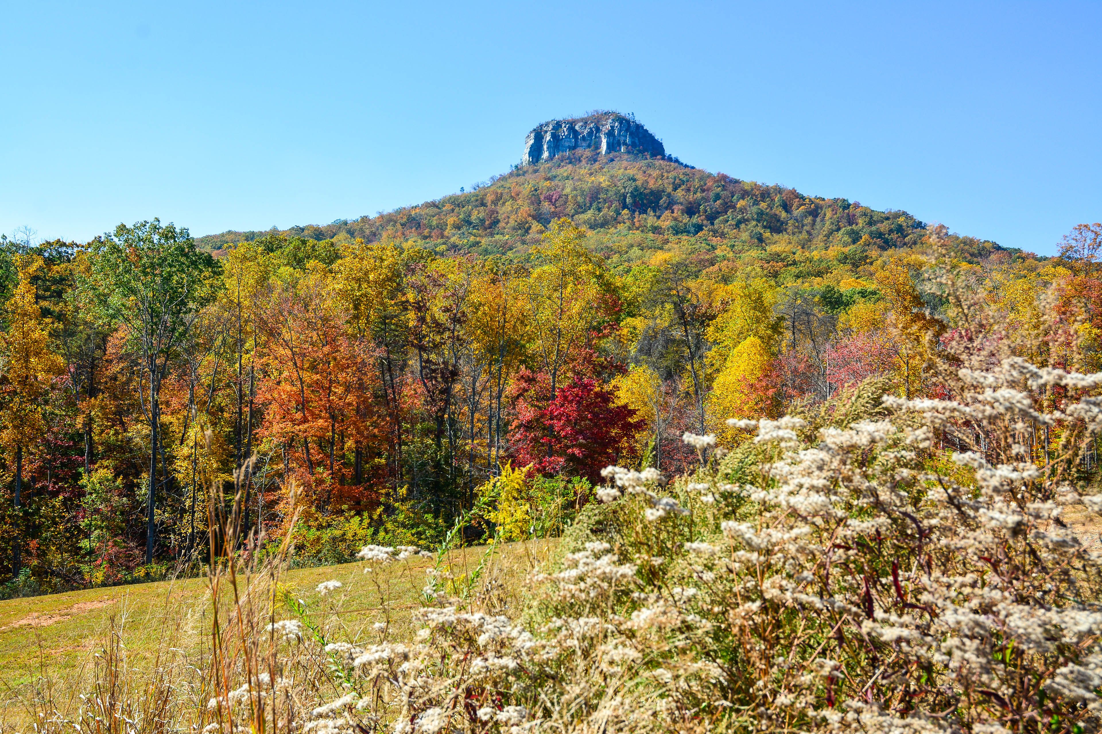Pilot Mountain State Park | Views