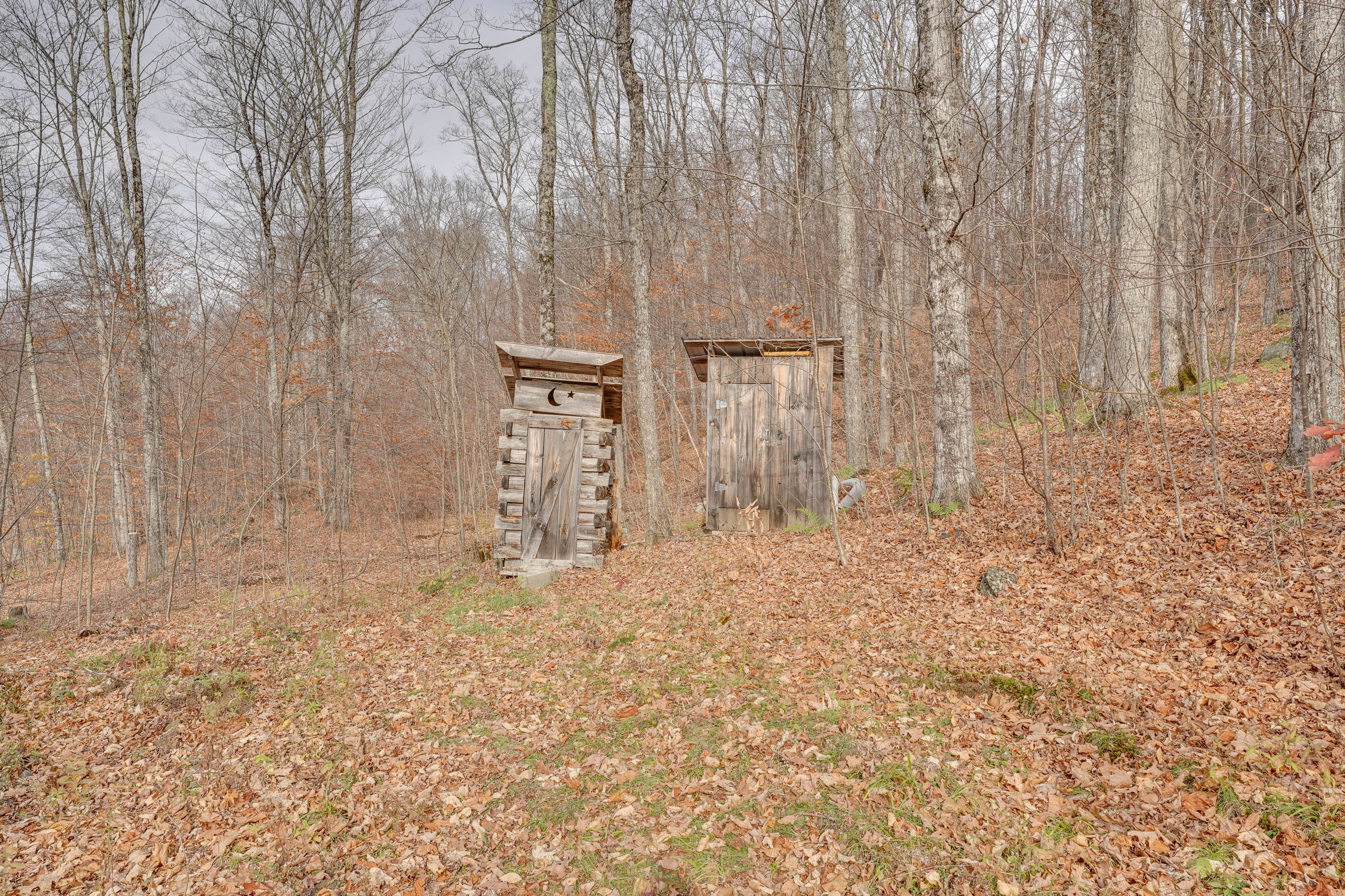 Wooded Yard | Outhouse
