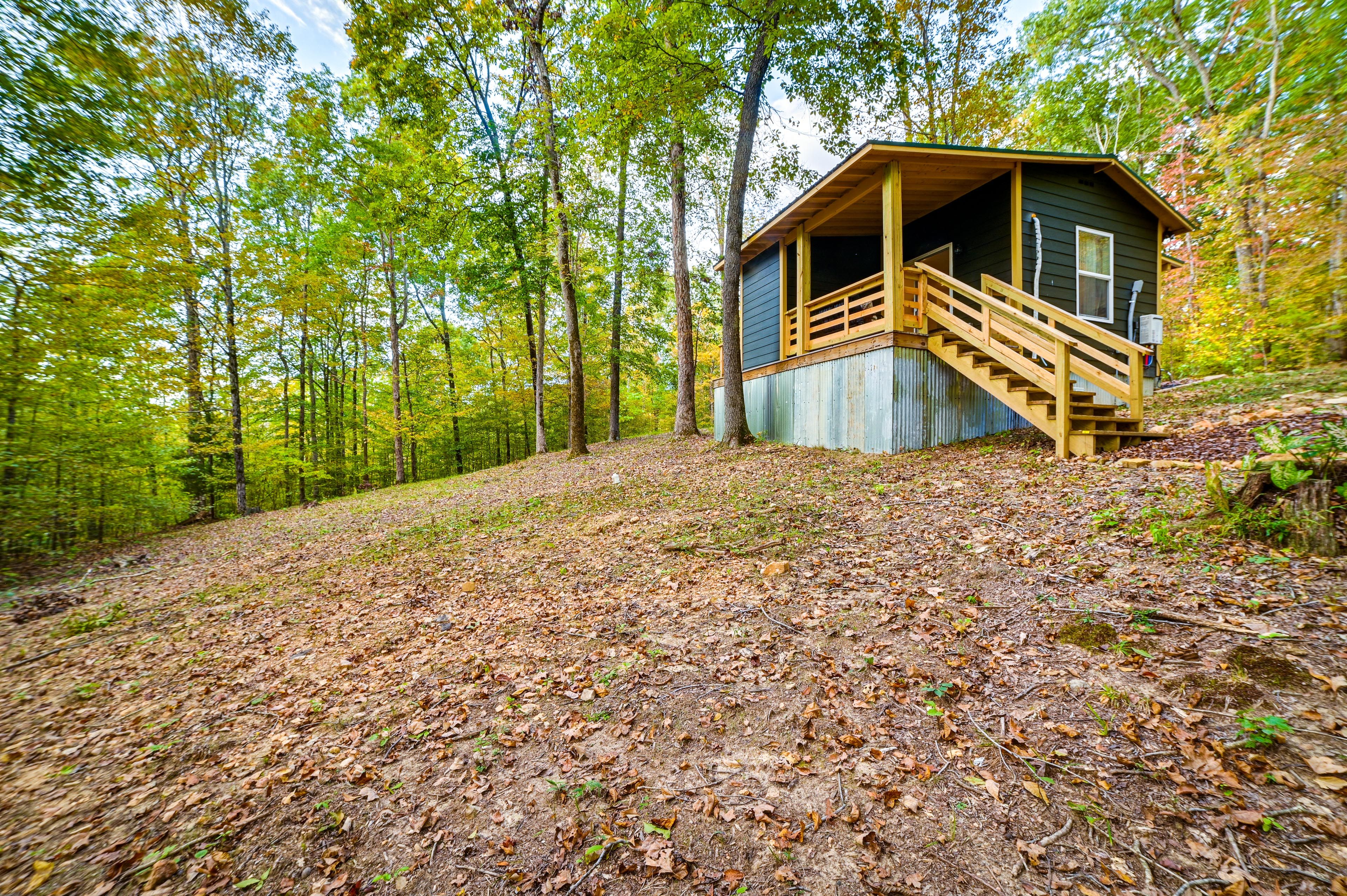 Yard | Fire Pit