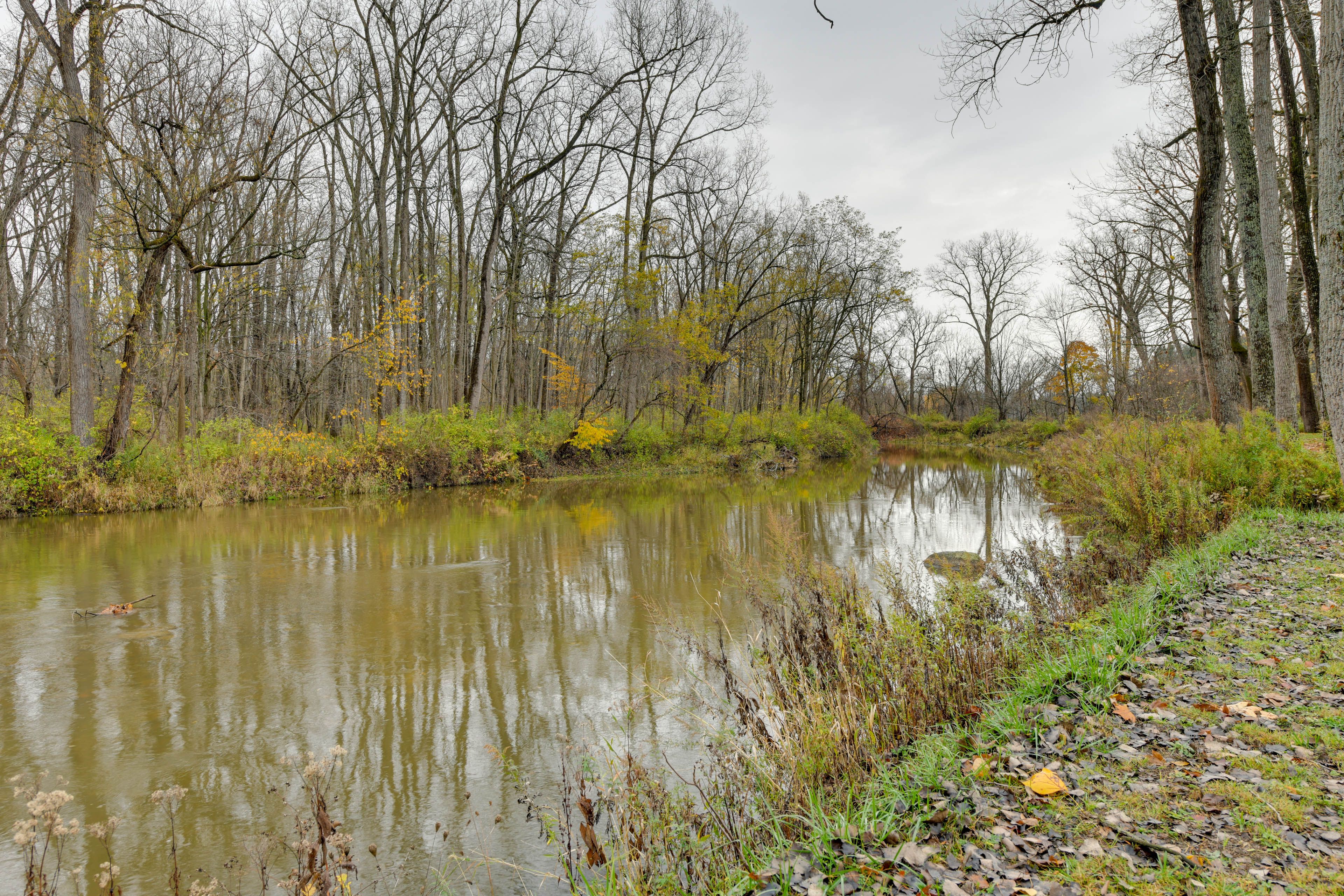 On-Site Creek Views