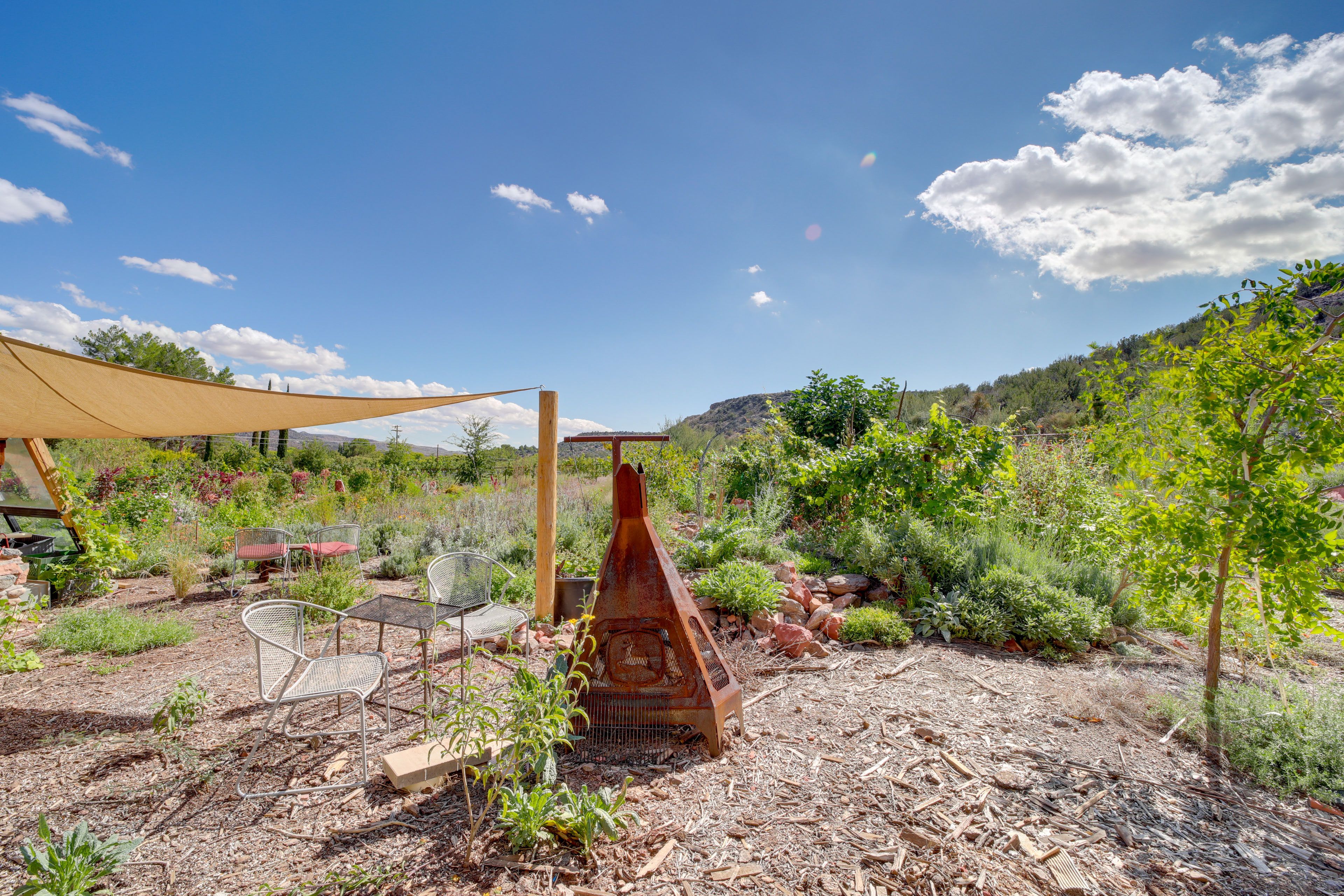 Shared Outdoor Space