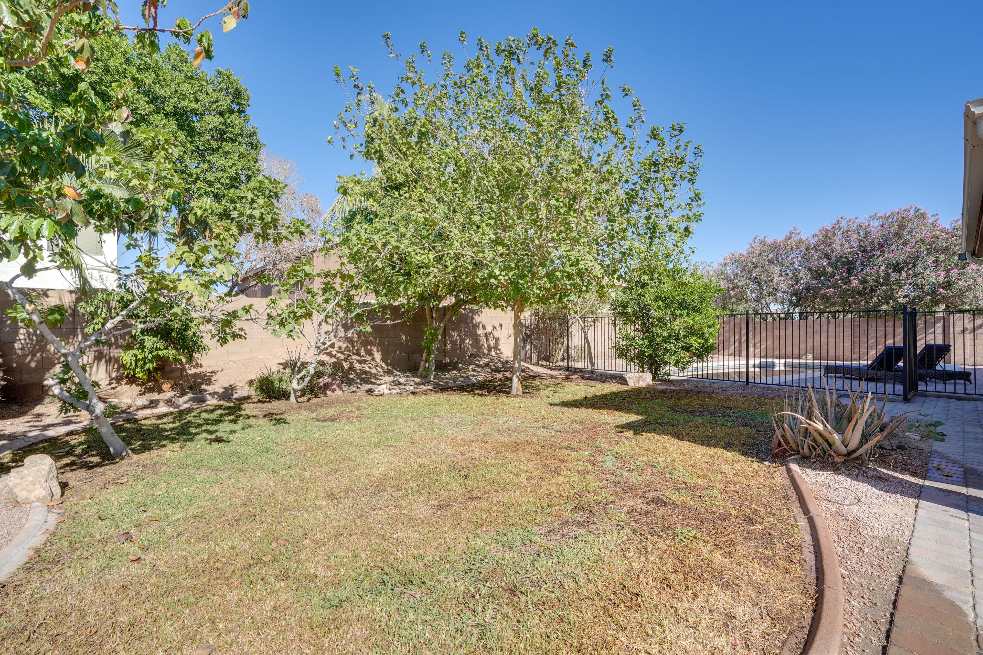 Fenced Yard