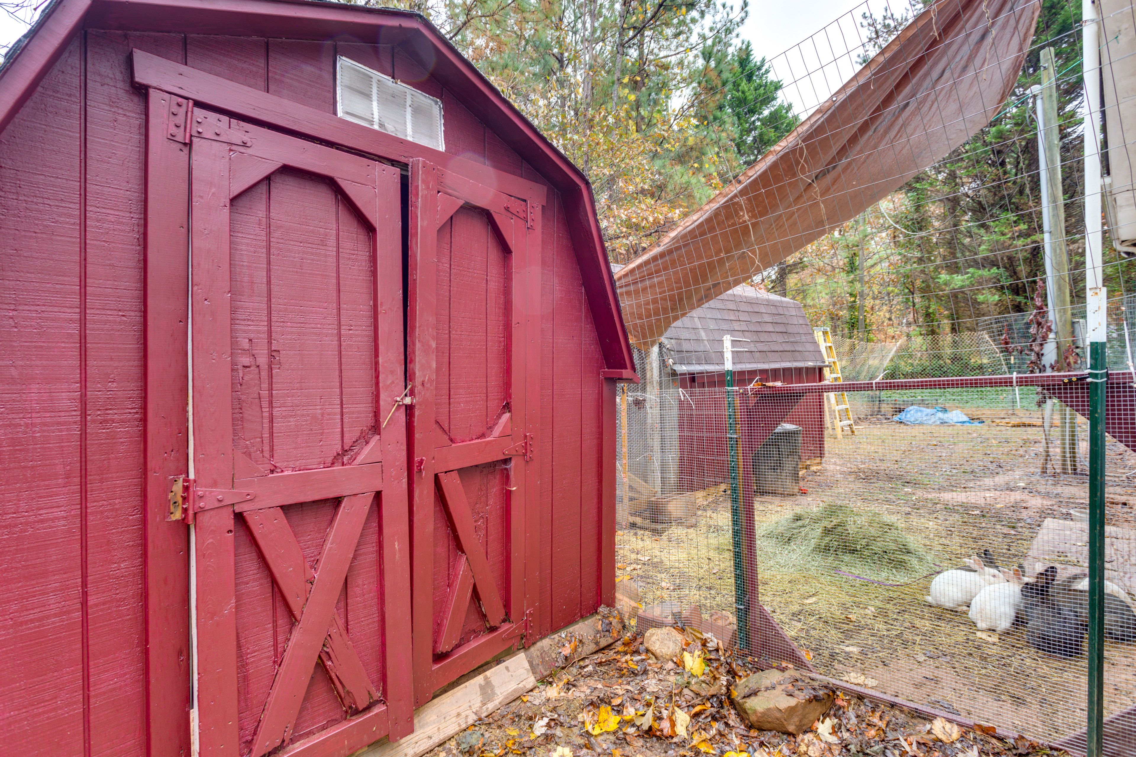 Private Yard | Rabbits & Chickens | Fire Pit | Charcoal Grill