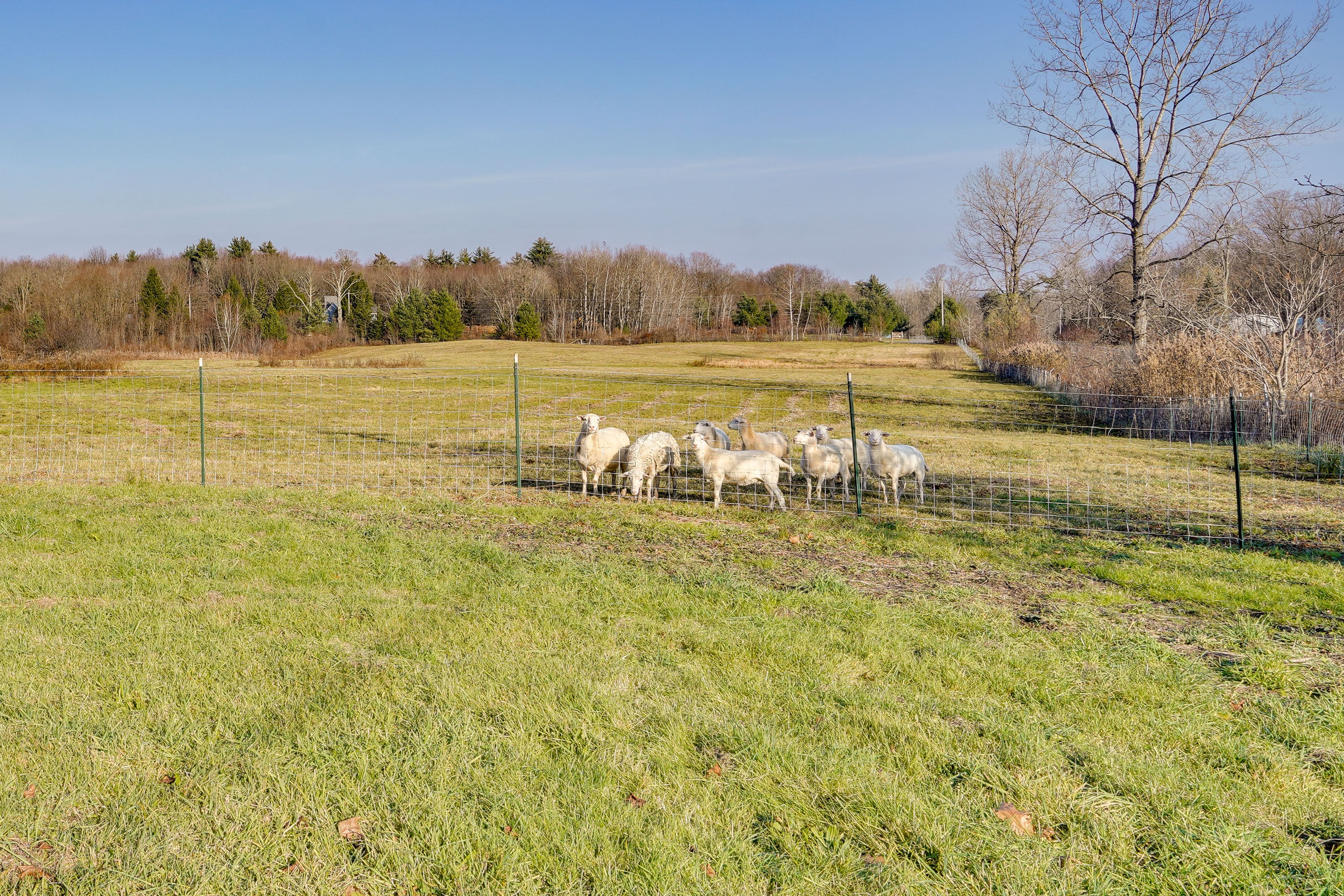 Working Farm On-Site