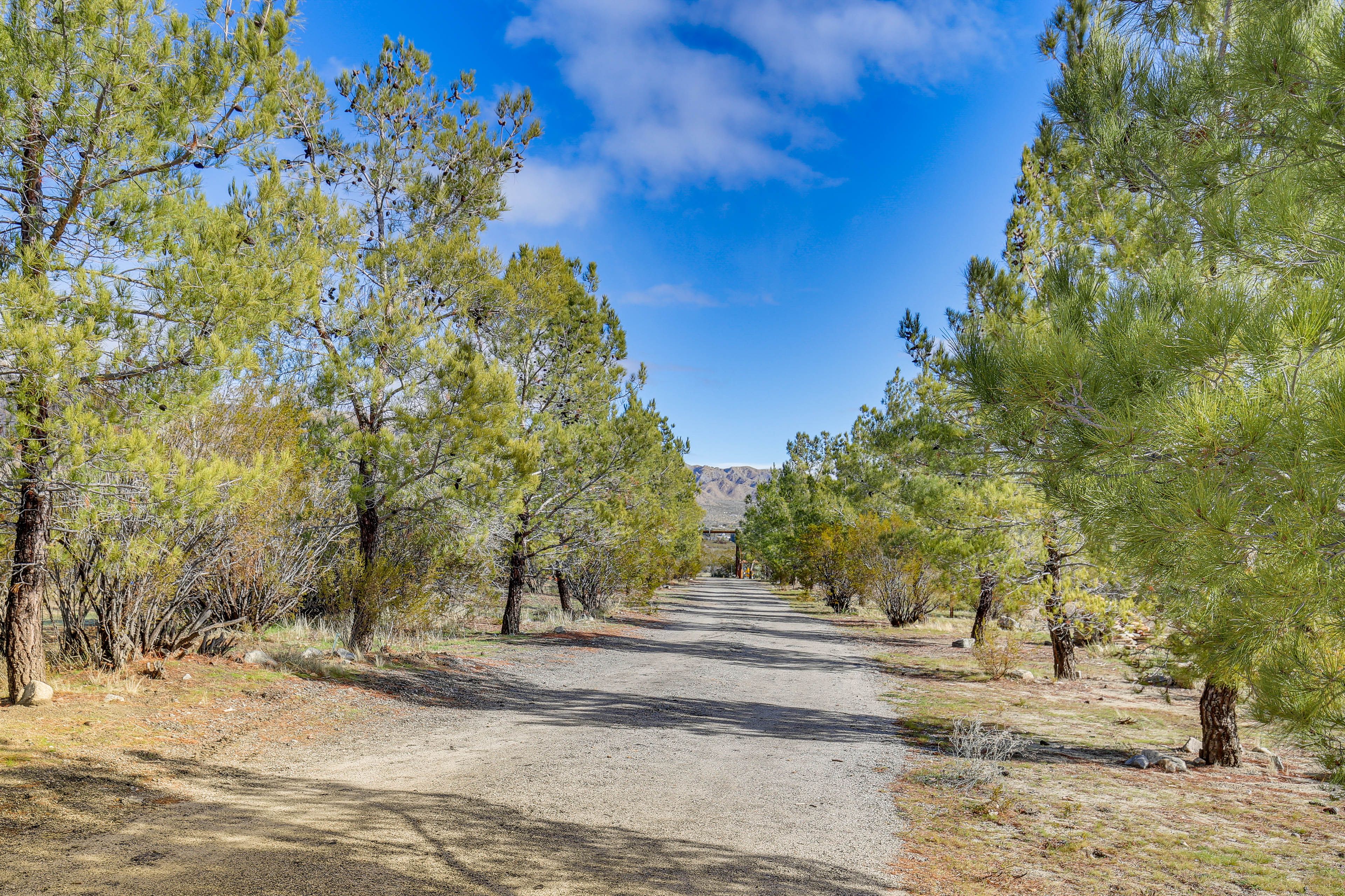 Road to Property