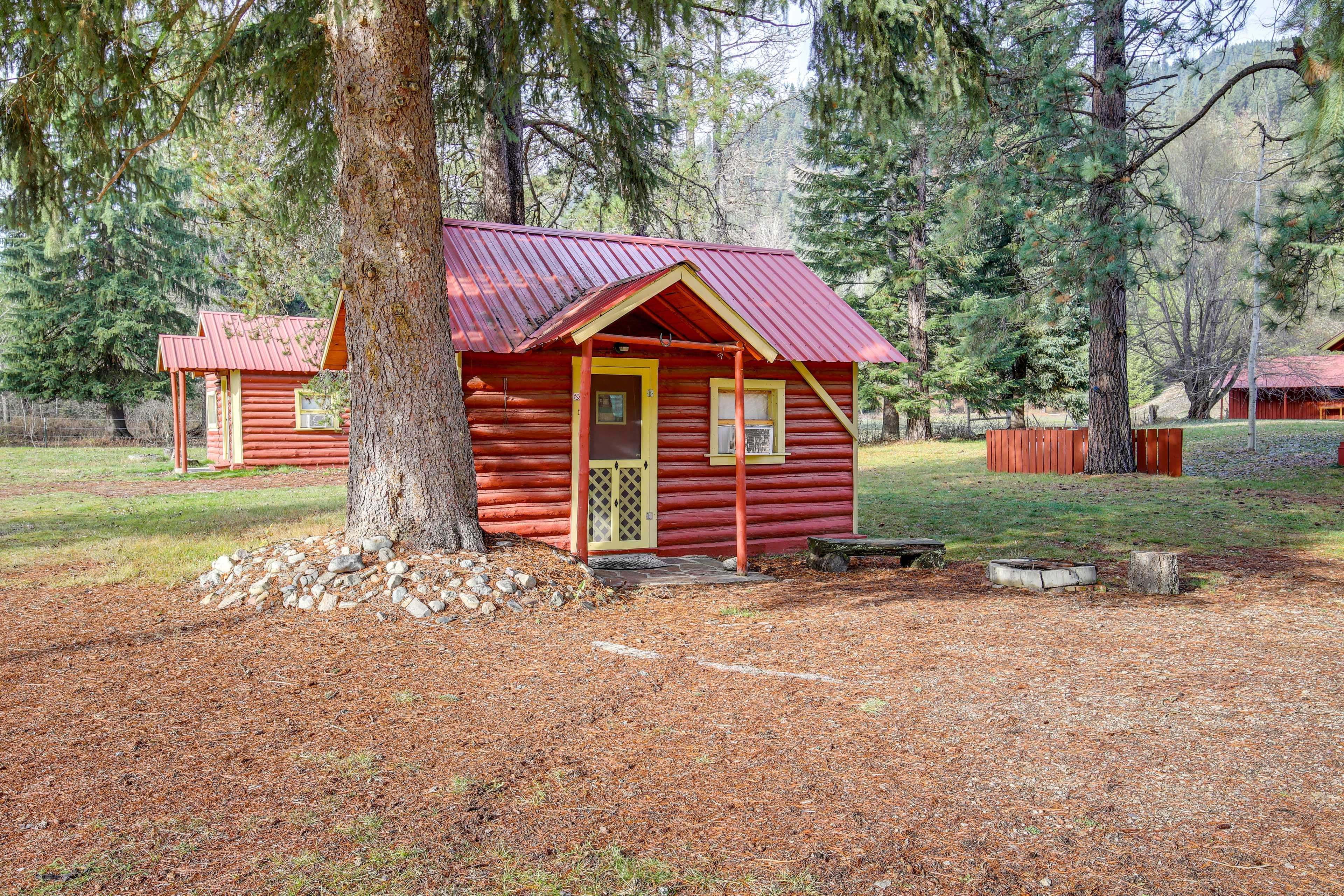 Image 12