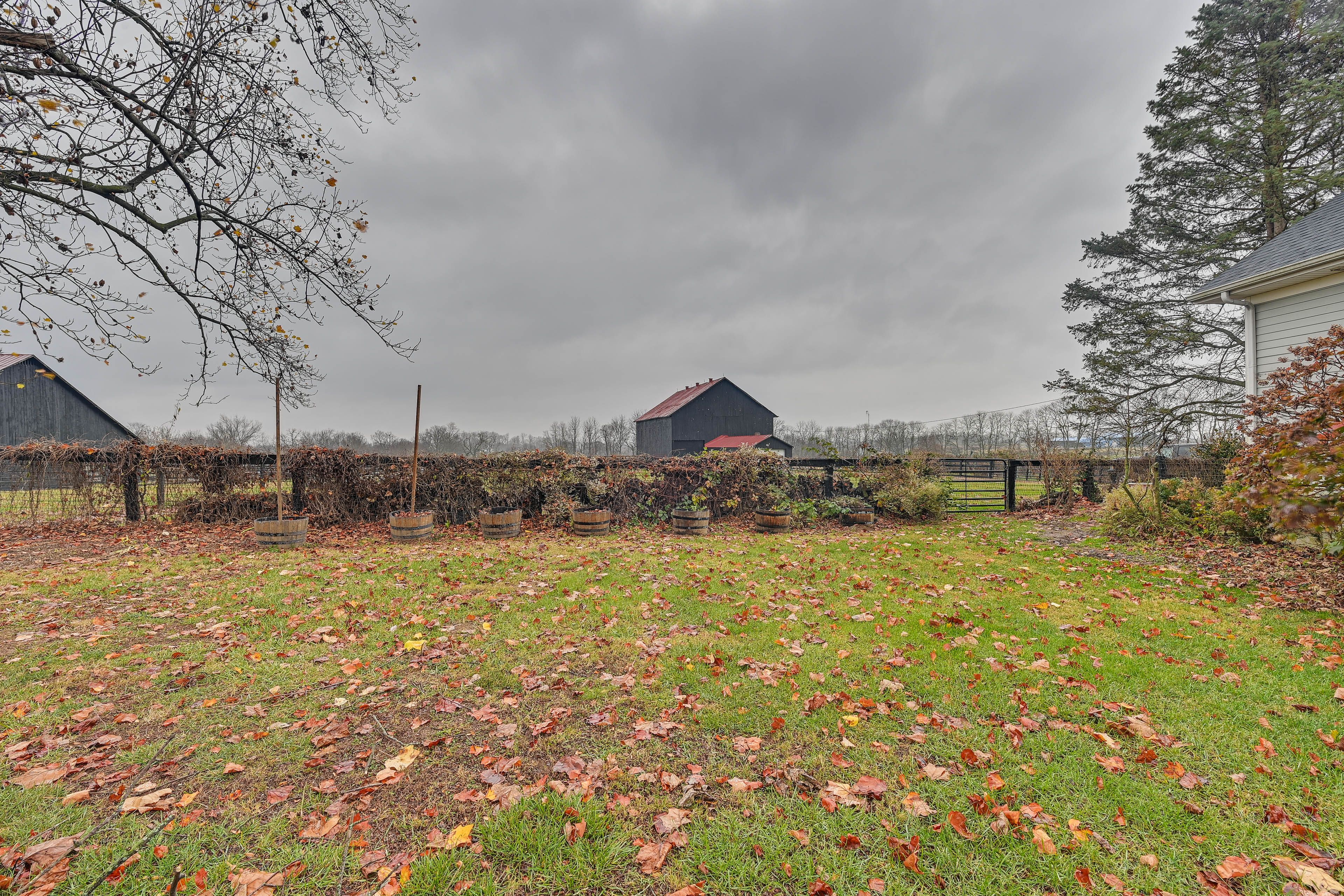 Private Acreage | Fire Pit | Tree Swing