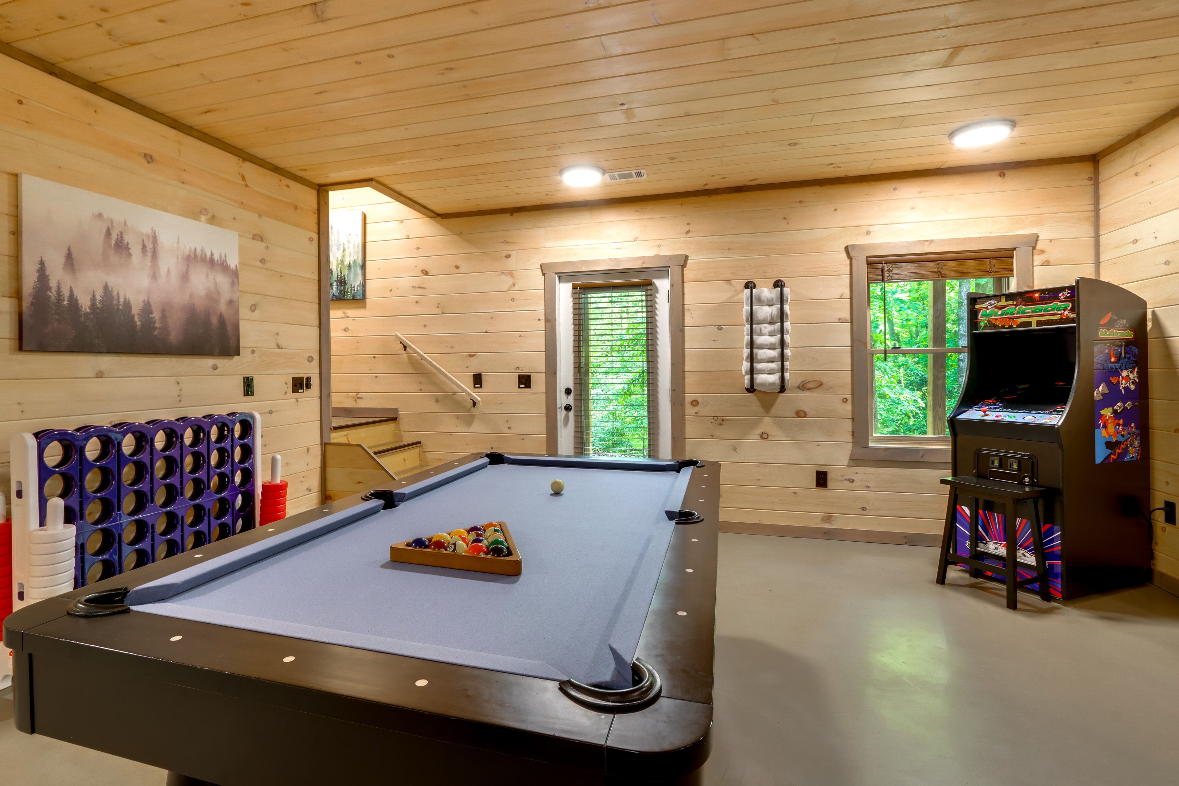 Game Room | Basement | Queen Futon