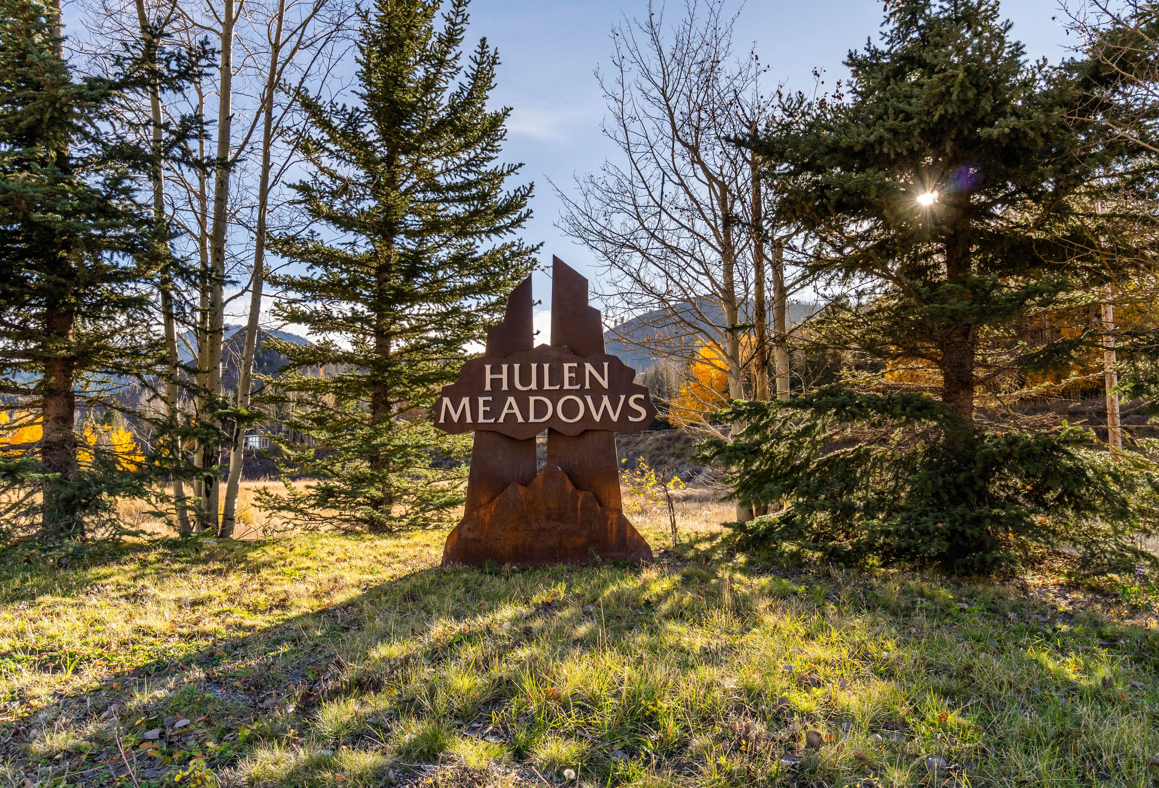 Hulen Meadows Community