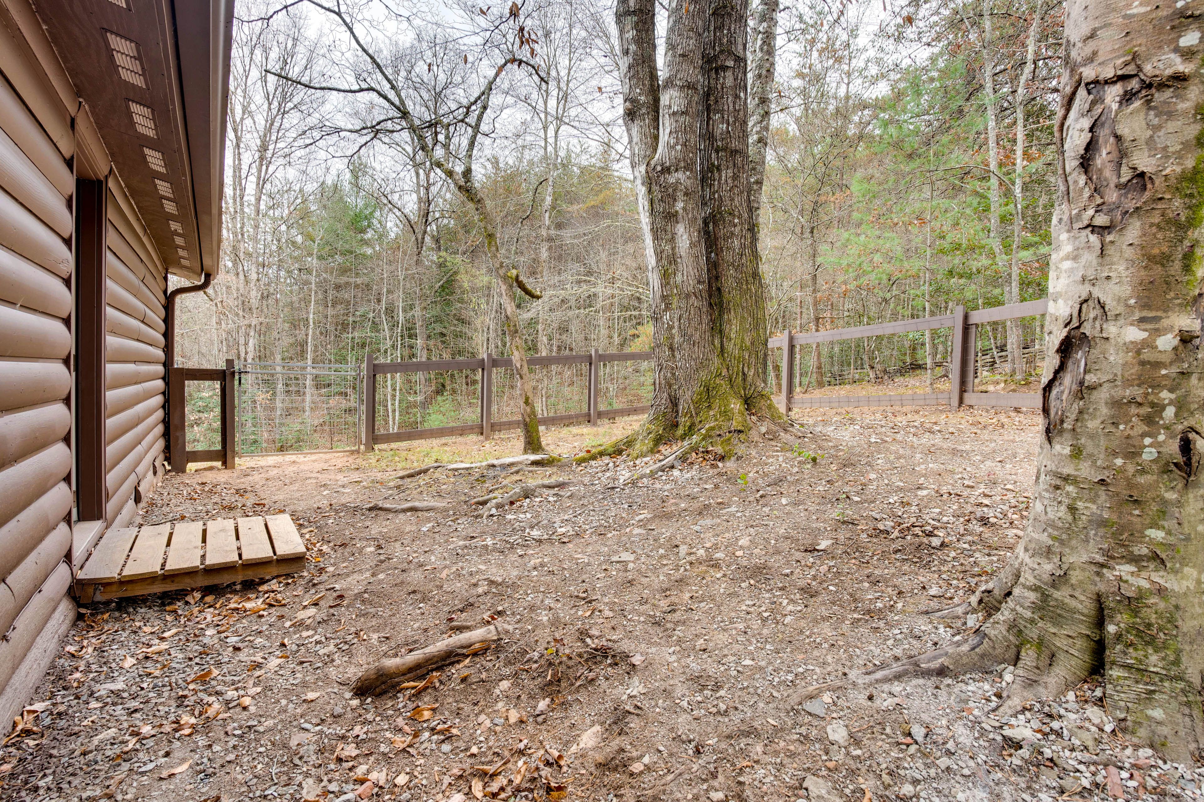 Fenced Backyard | Pet Friendly w/ Fee