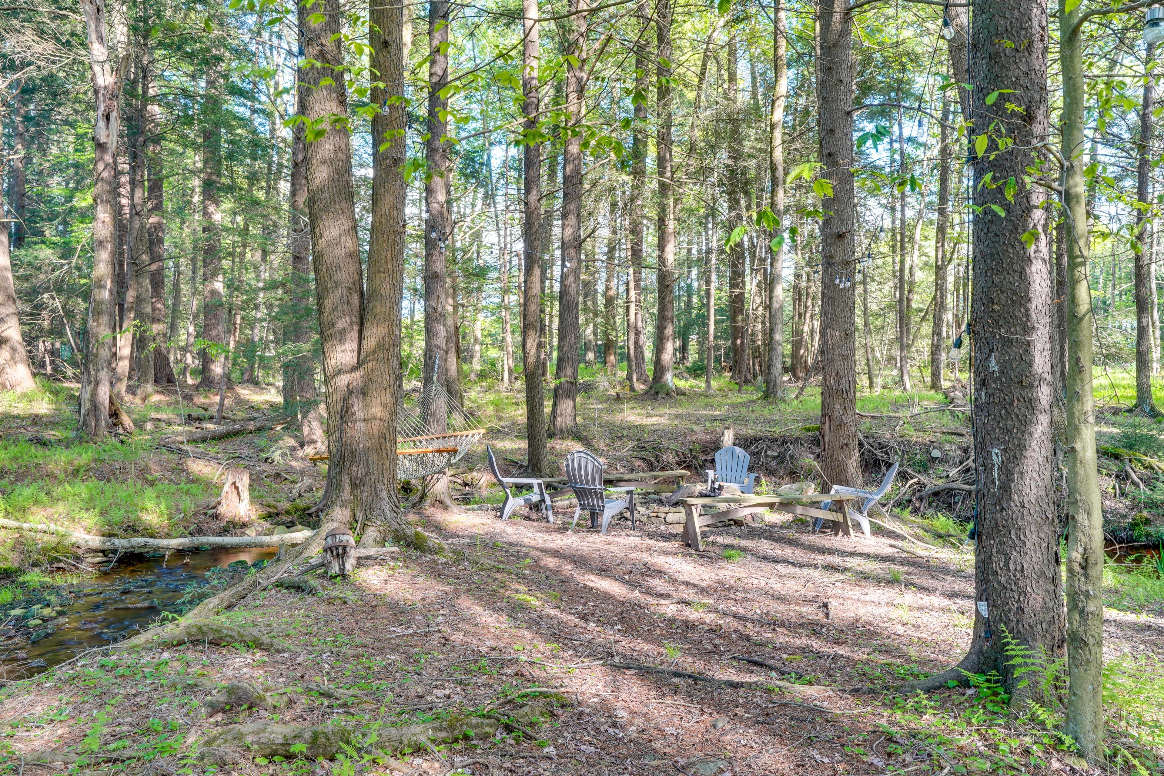 Outdoor Space | Hammock | Fire Pit | On-Site Creek