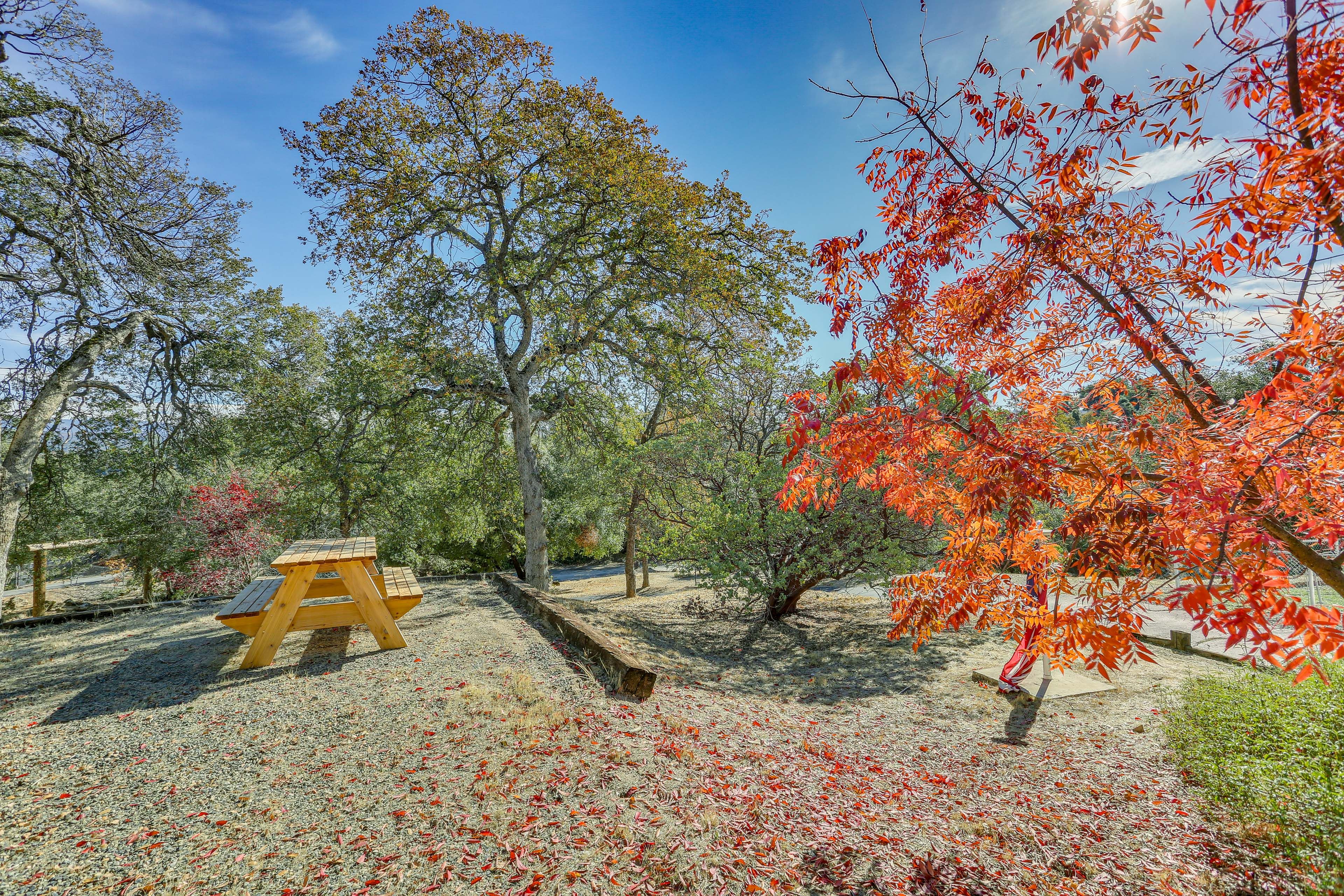 Outdoor Space