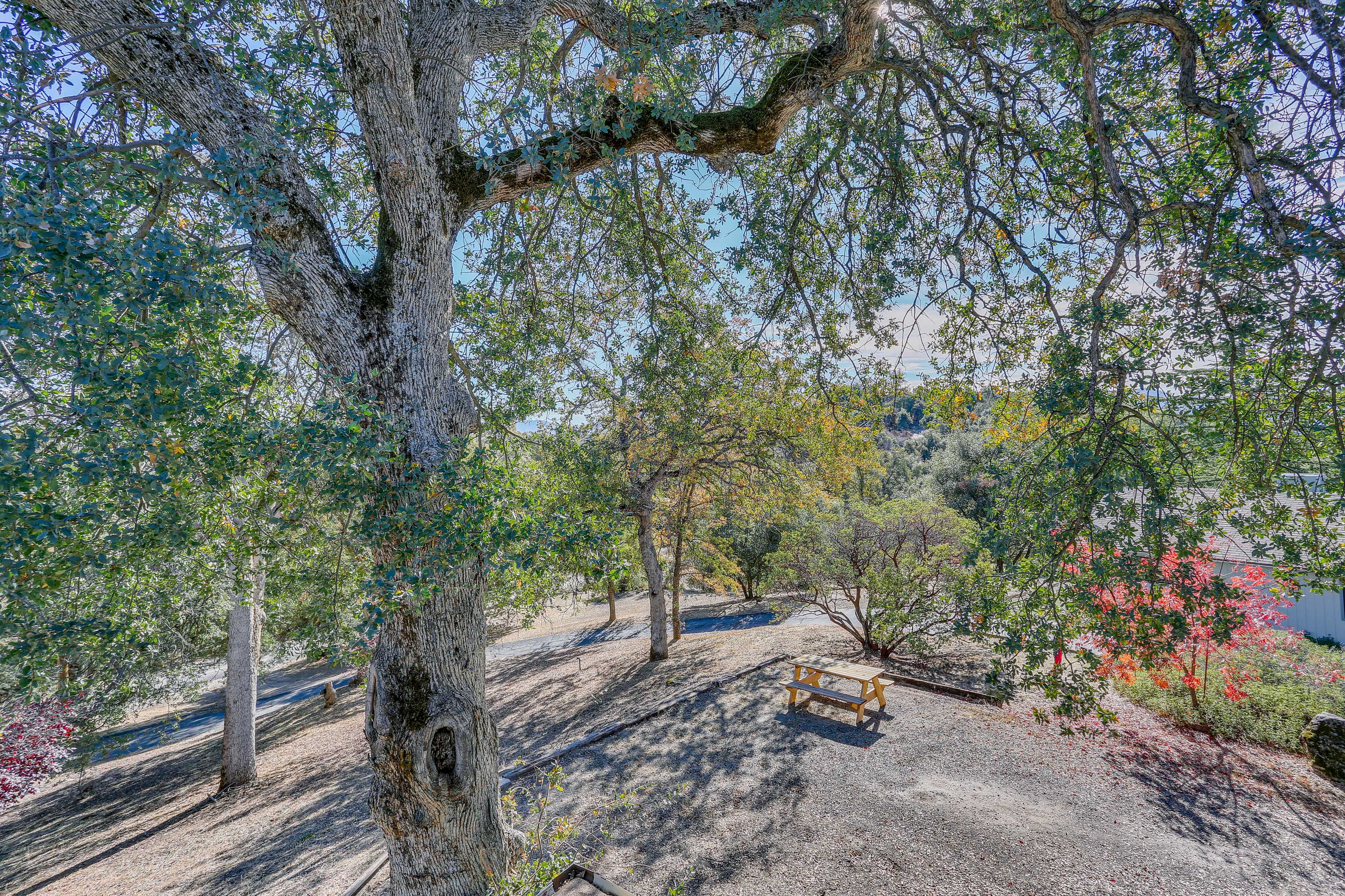Parking | Driveway (2 Vehicles) | RV/Trailer Parking Allowed On-Site
