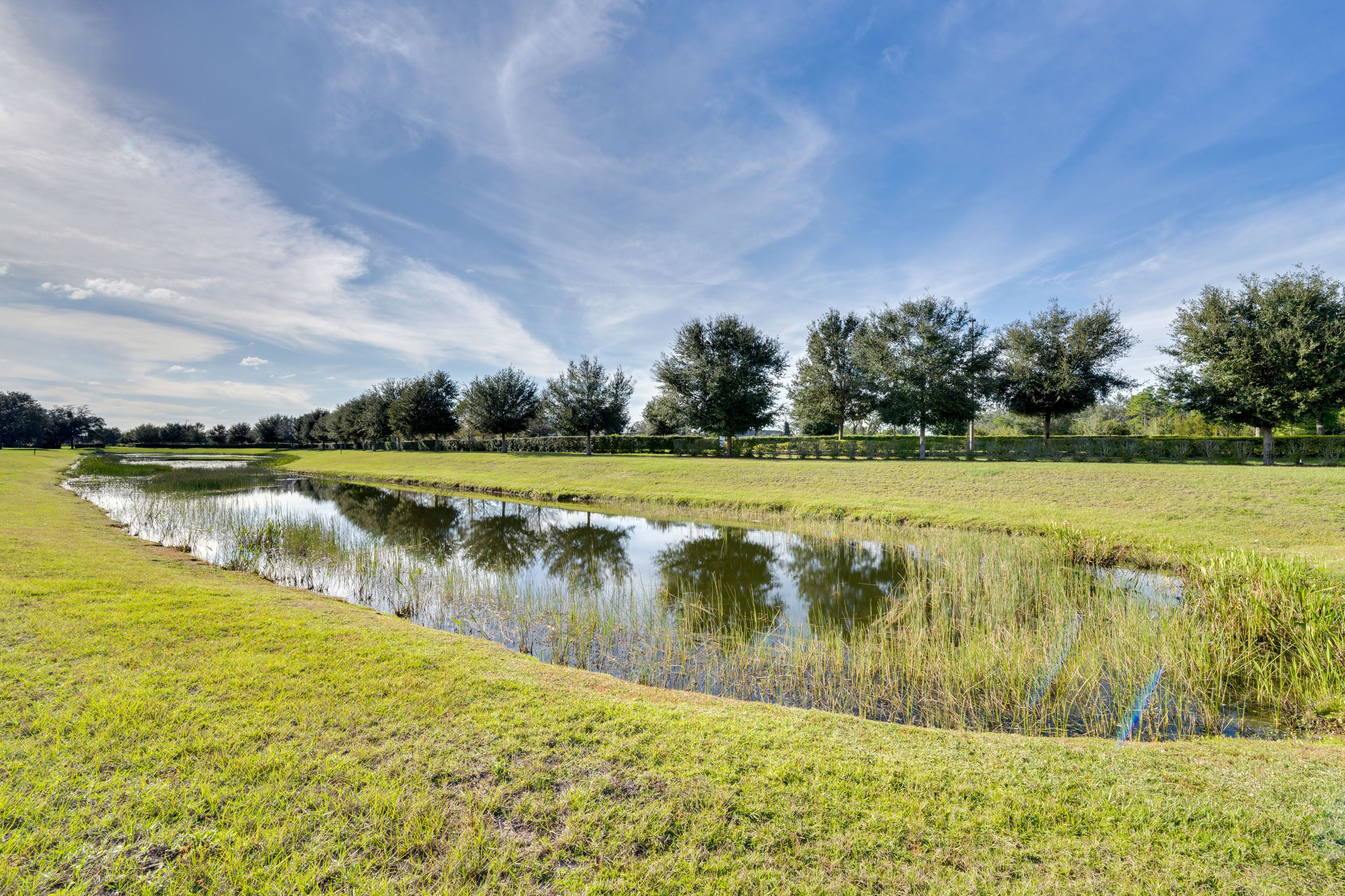 Shared Pond