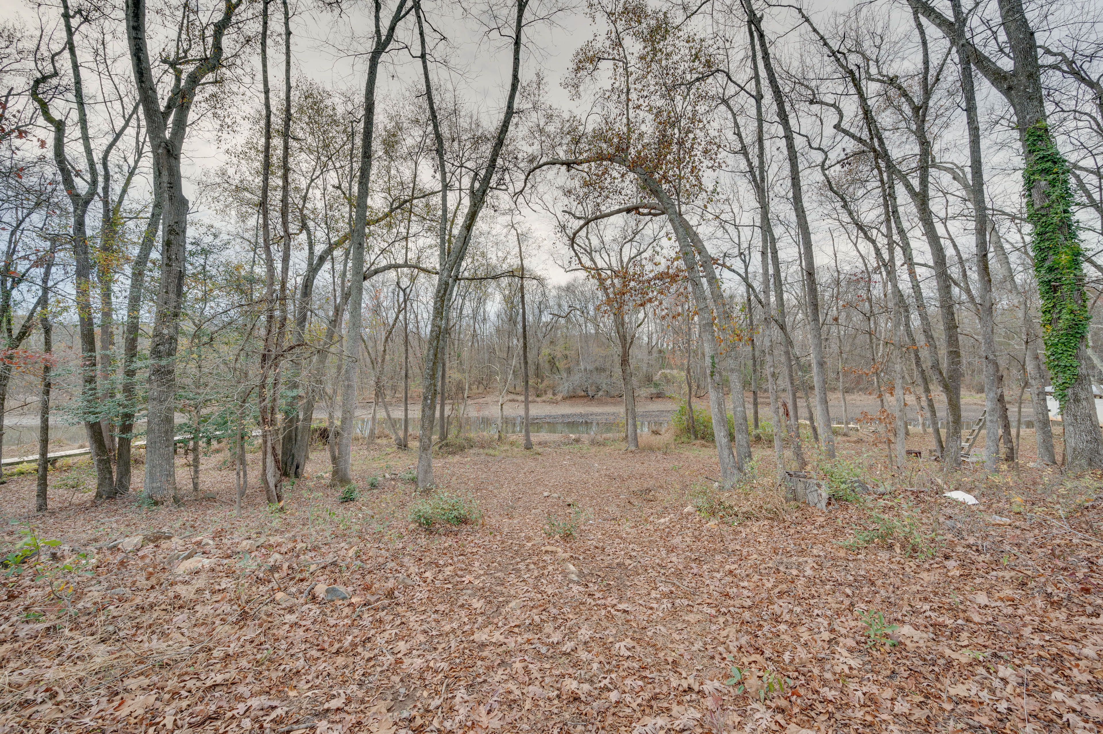 Surrounding Area