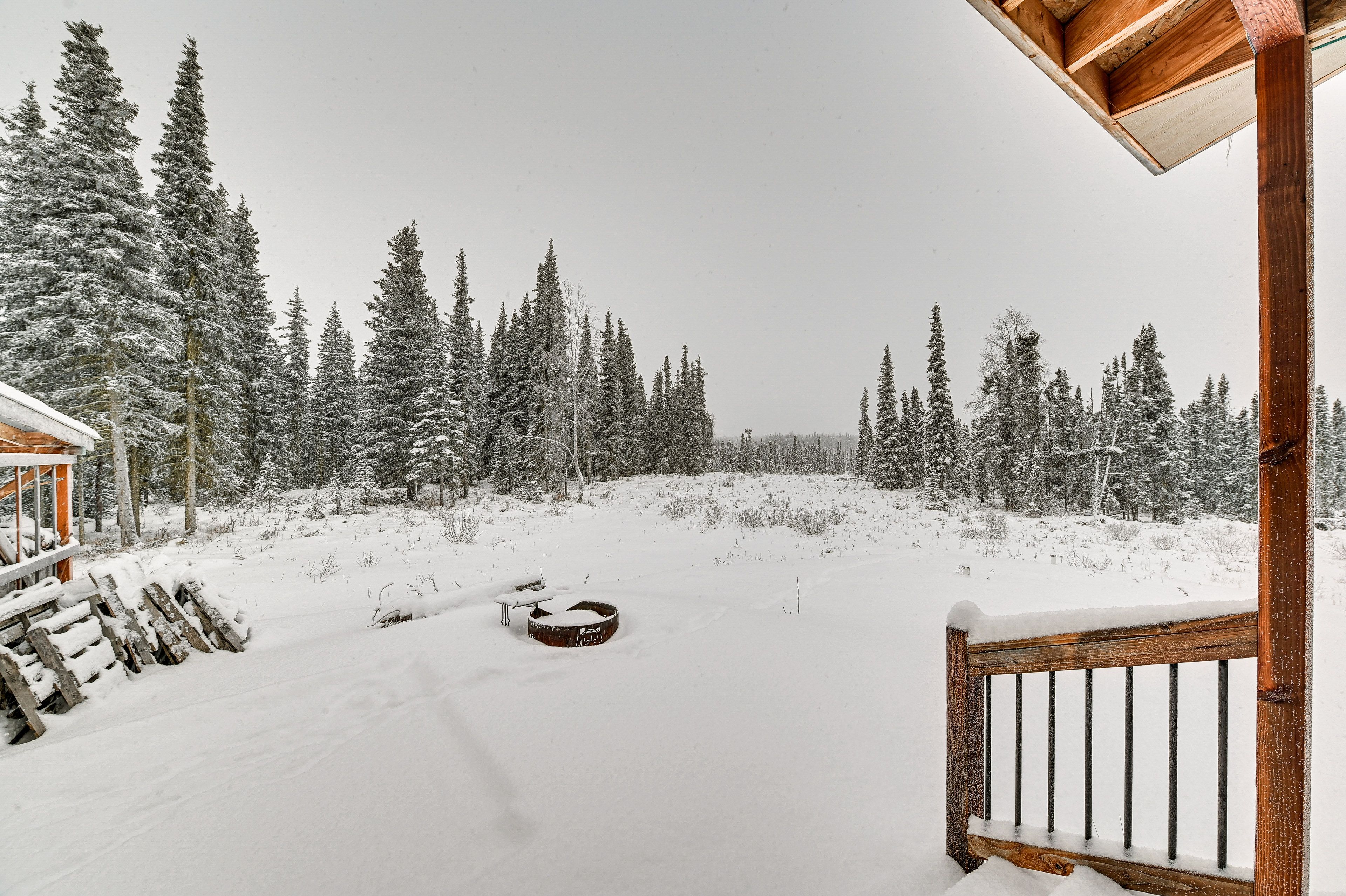 Wooded Yard | Fire Pit