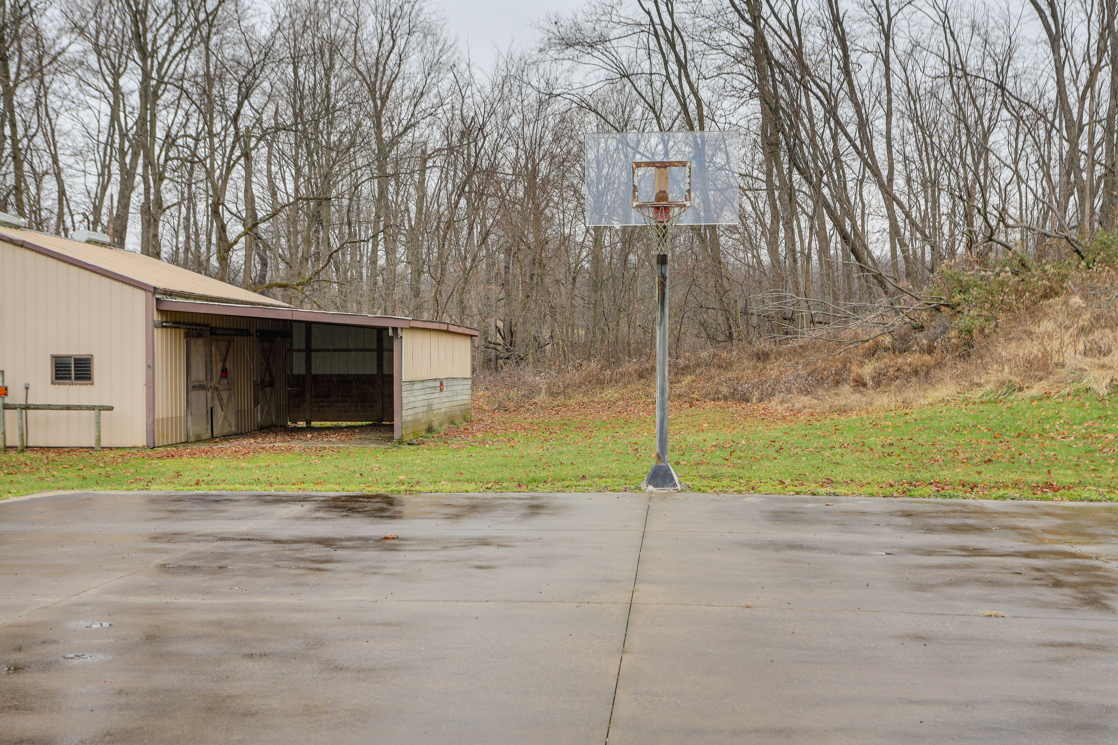 Basketball Hoop