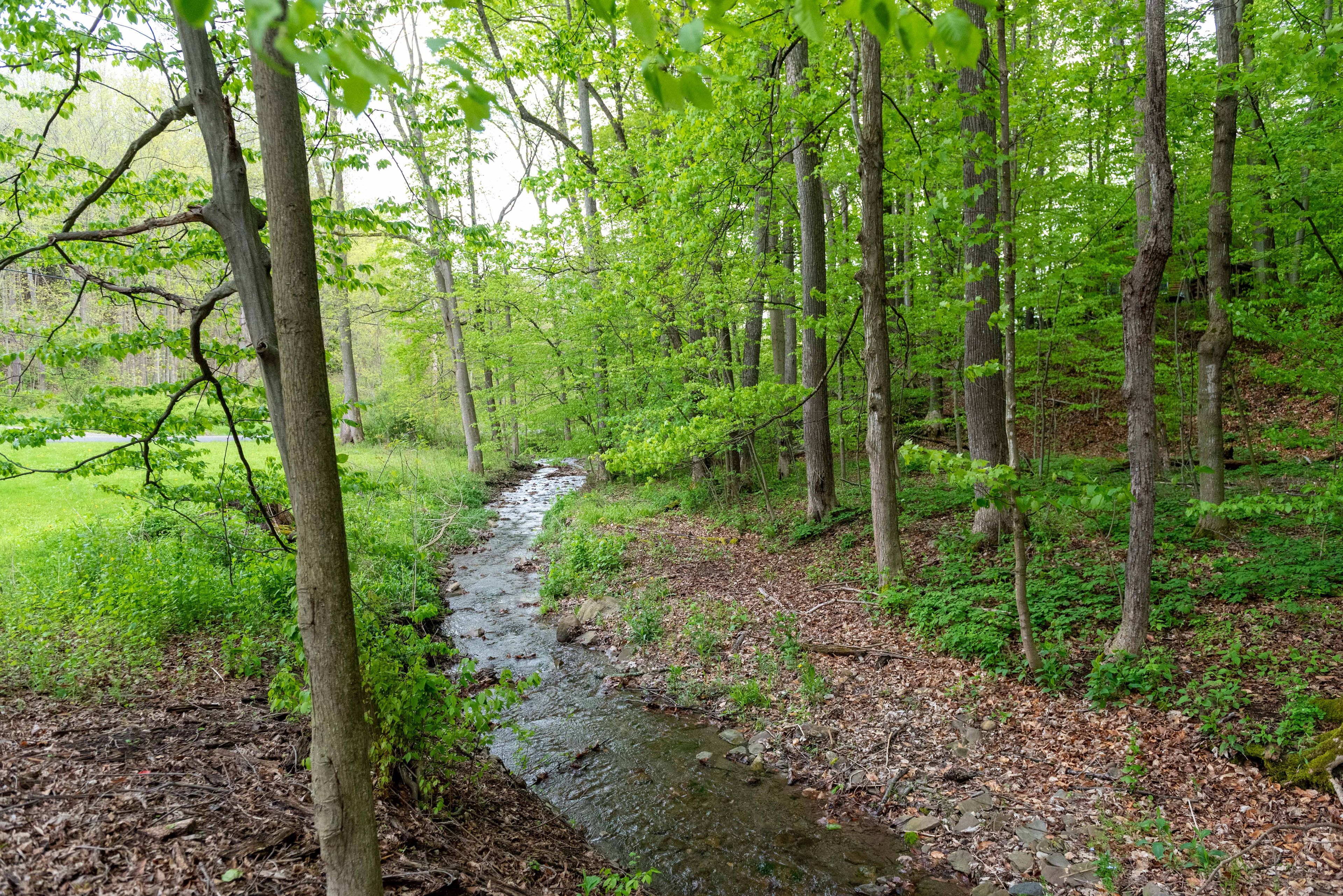 Stream On-Site